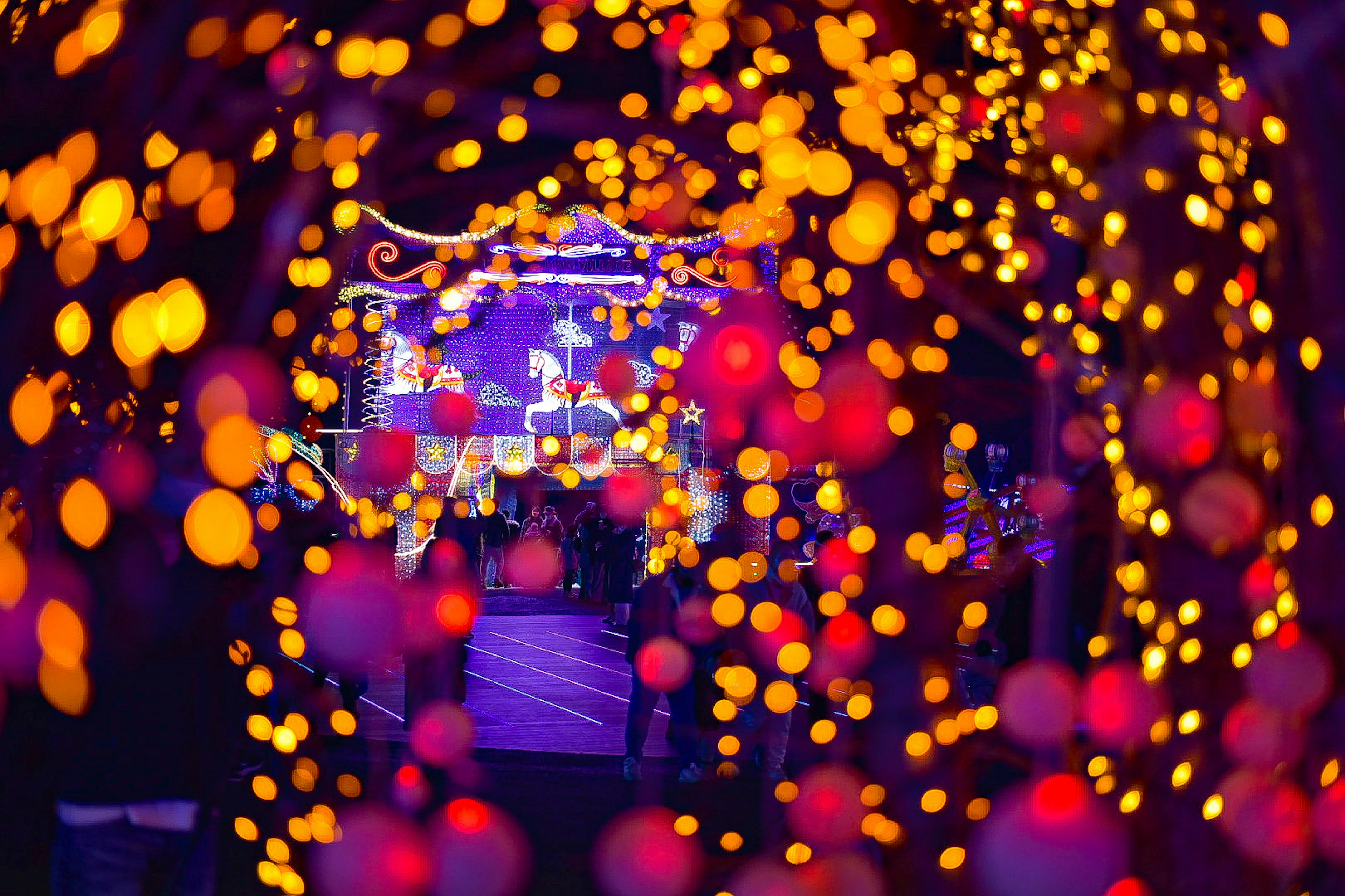 Esferas de luz de colores brillantes crean un fondo vibrante con una banda actuando en el centro