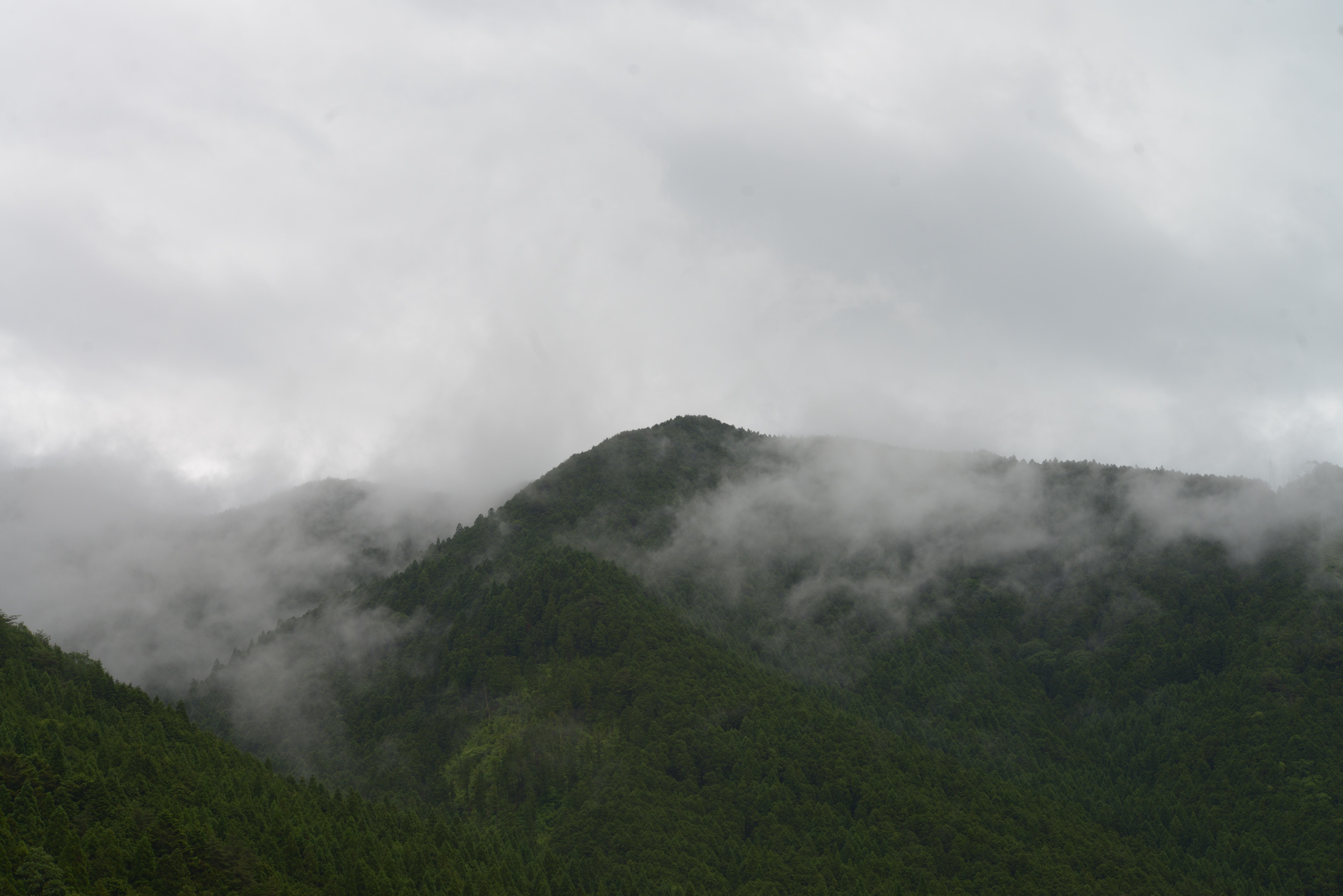 Green mountains shrouded in mist under a cloudy sky