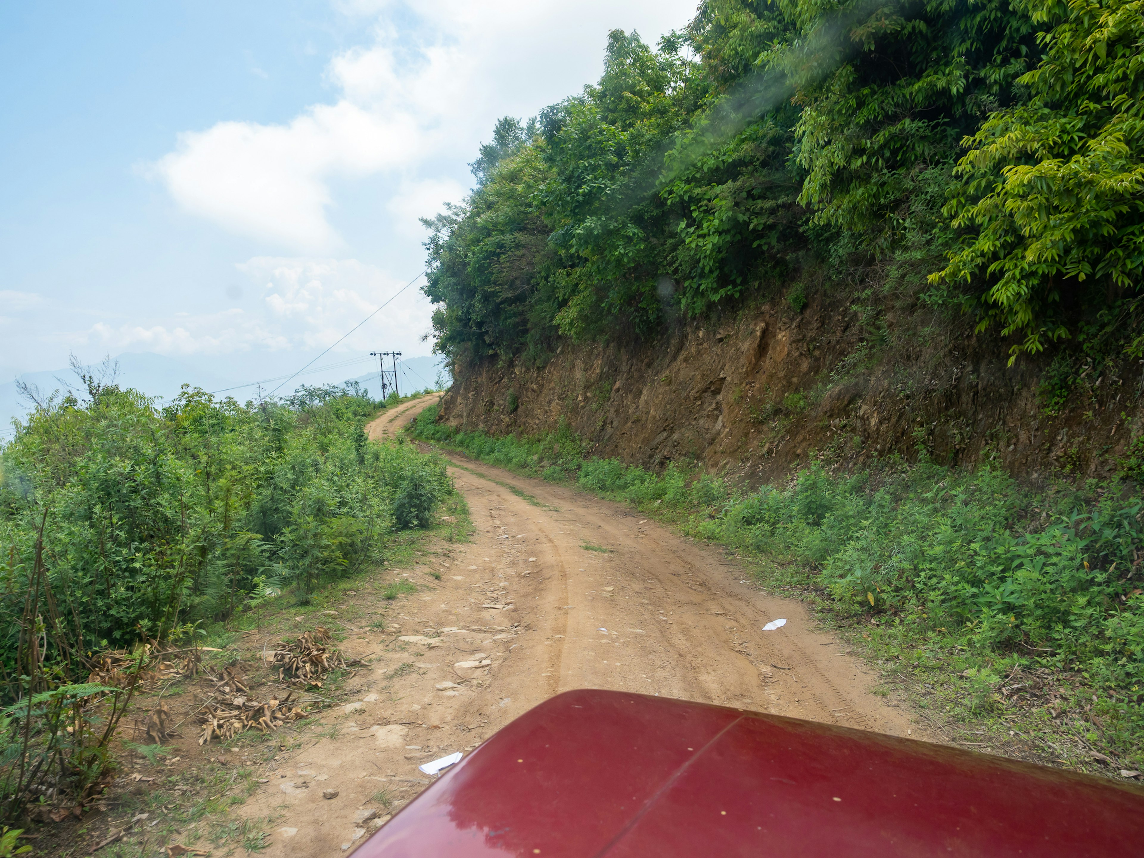 Pemandangan jalan tanah tidak rata di tengah pepohonan yang rimbun