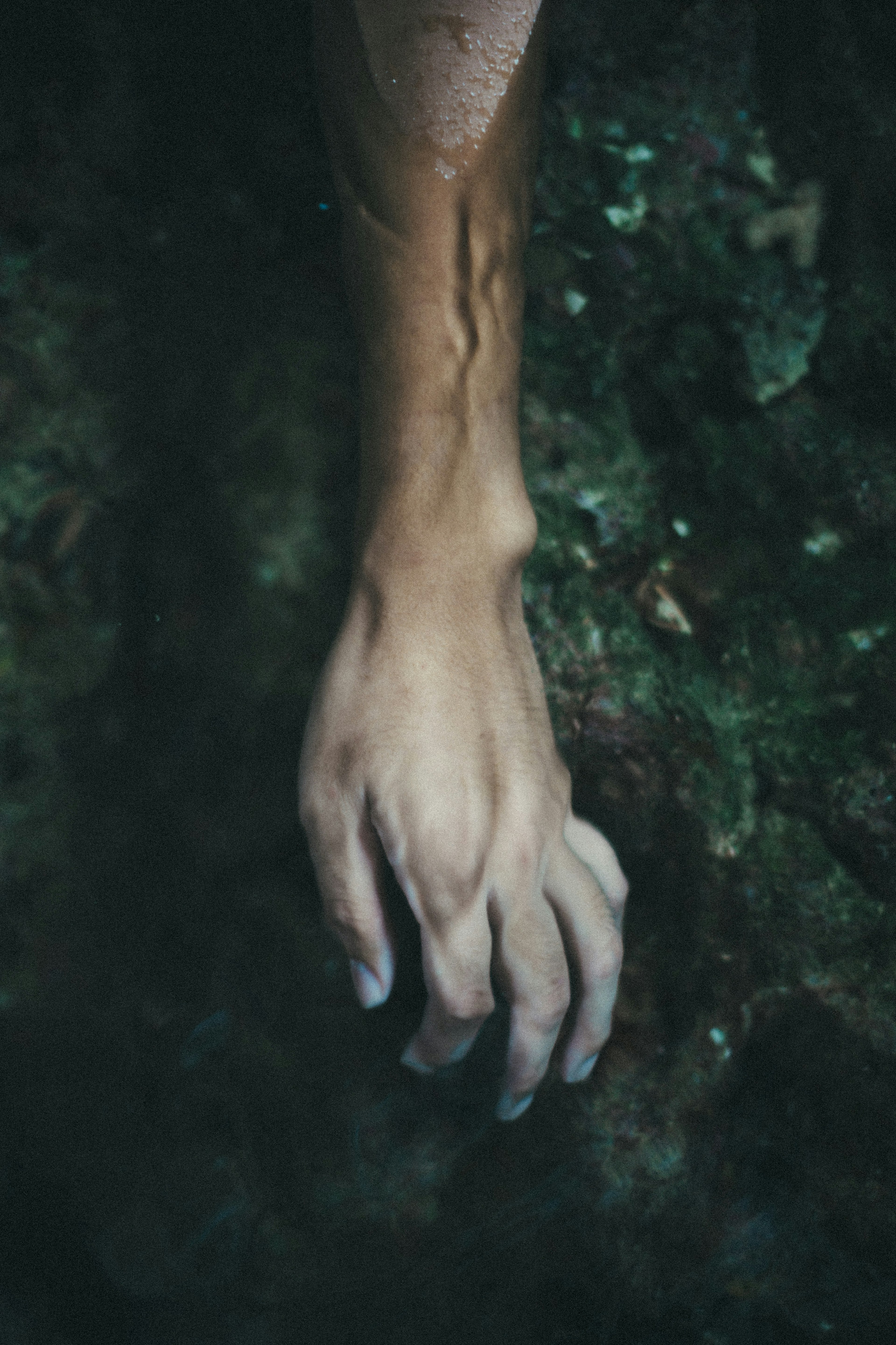 A hand submerged in water reaching for a rock