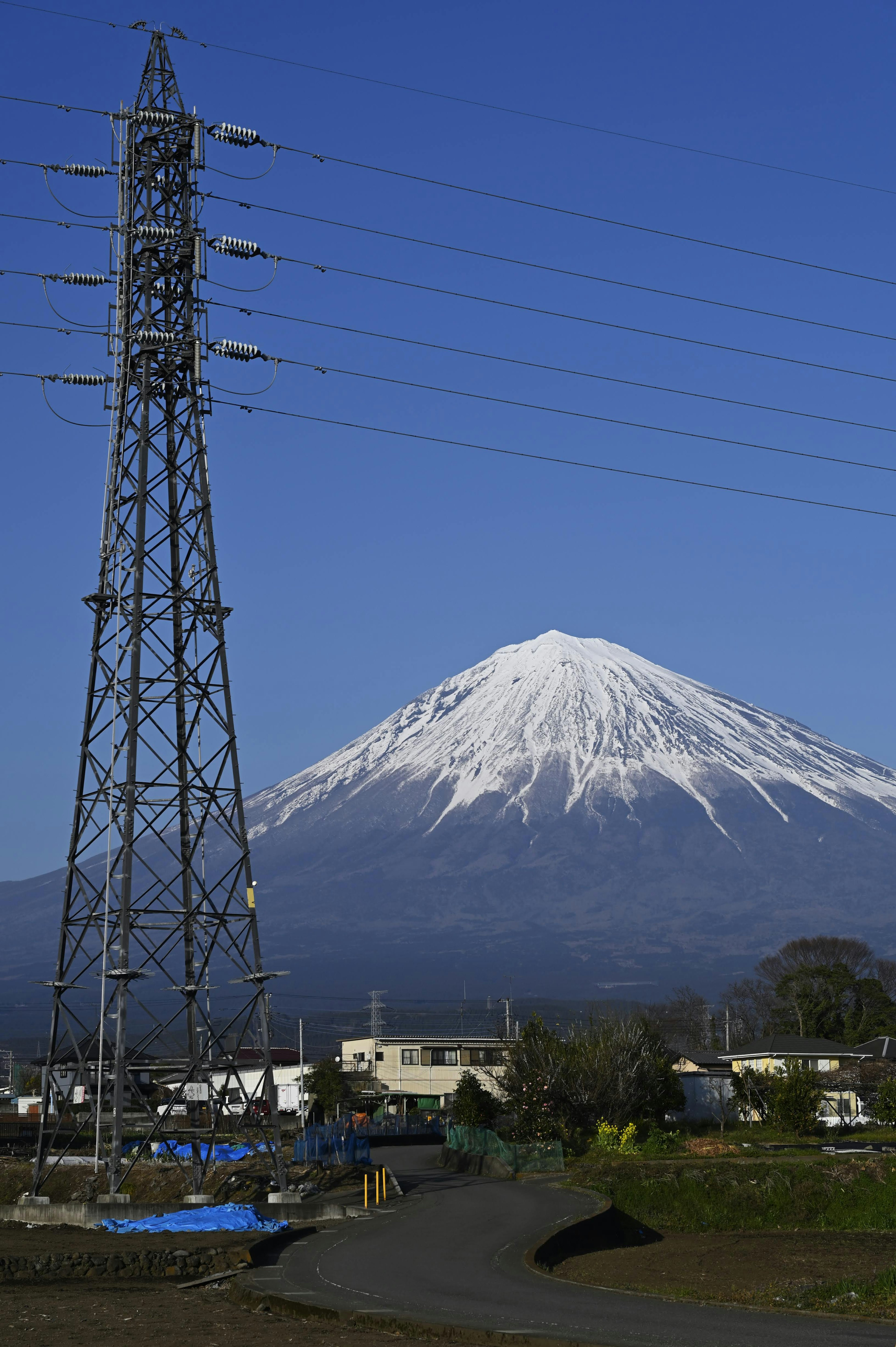 雪をかぶった富士山と電柱の風景