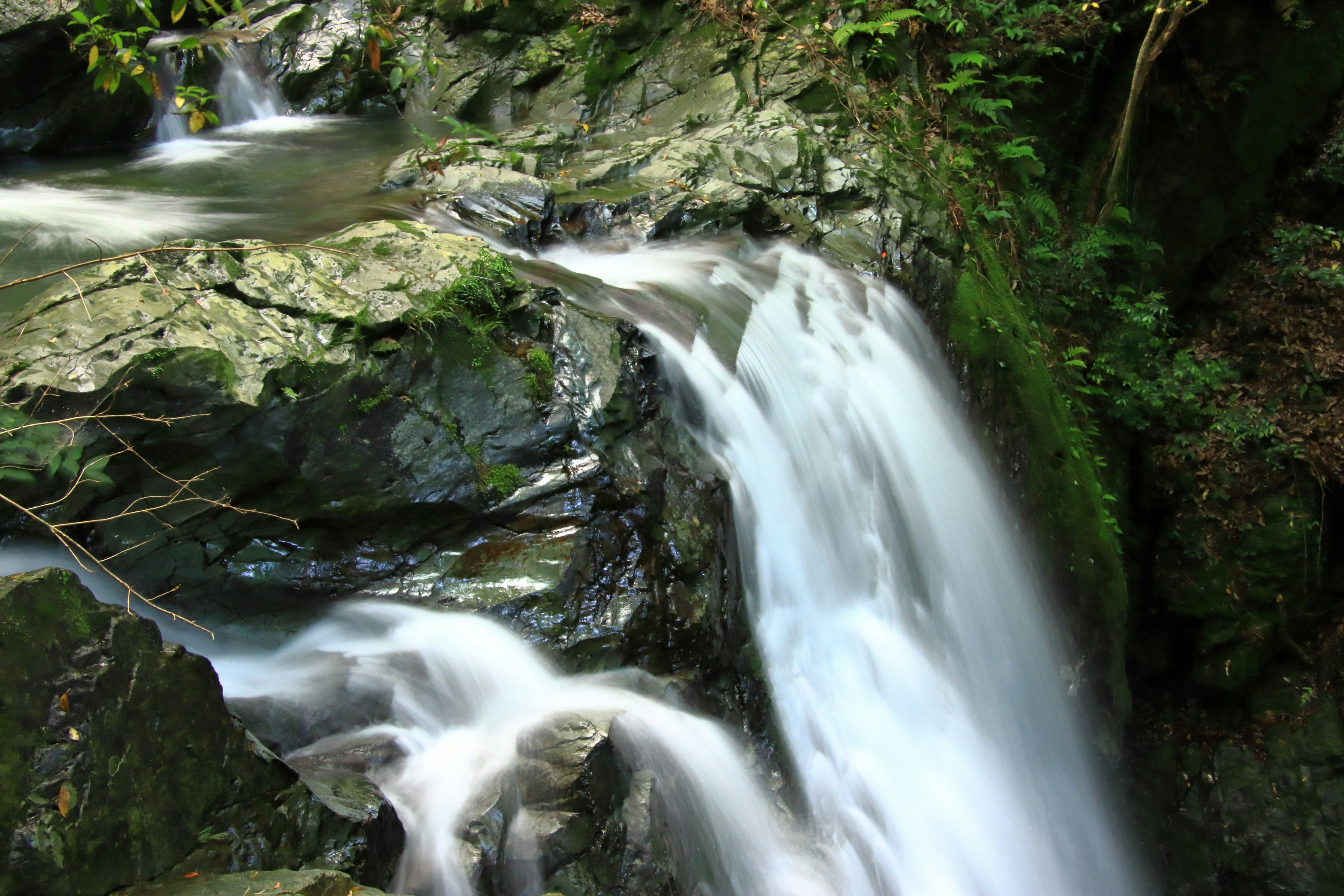 Pemandangan indah dengan air terjun yang dikelilingi oleh pepohonan