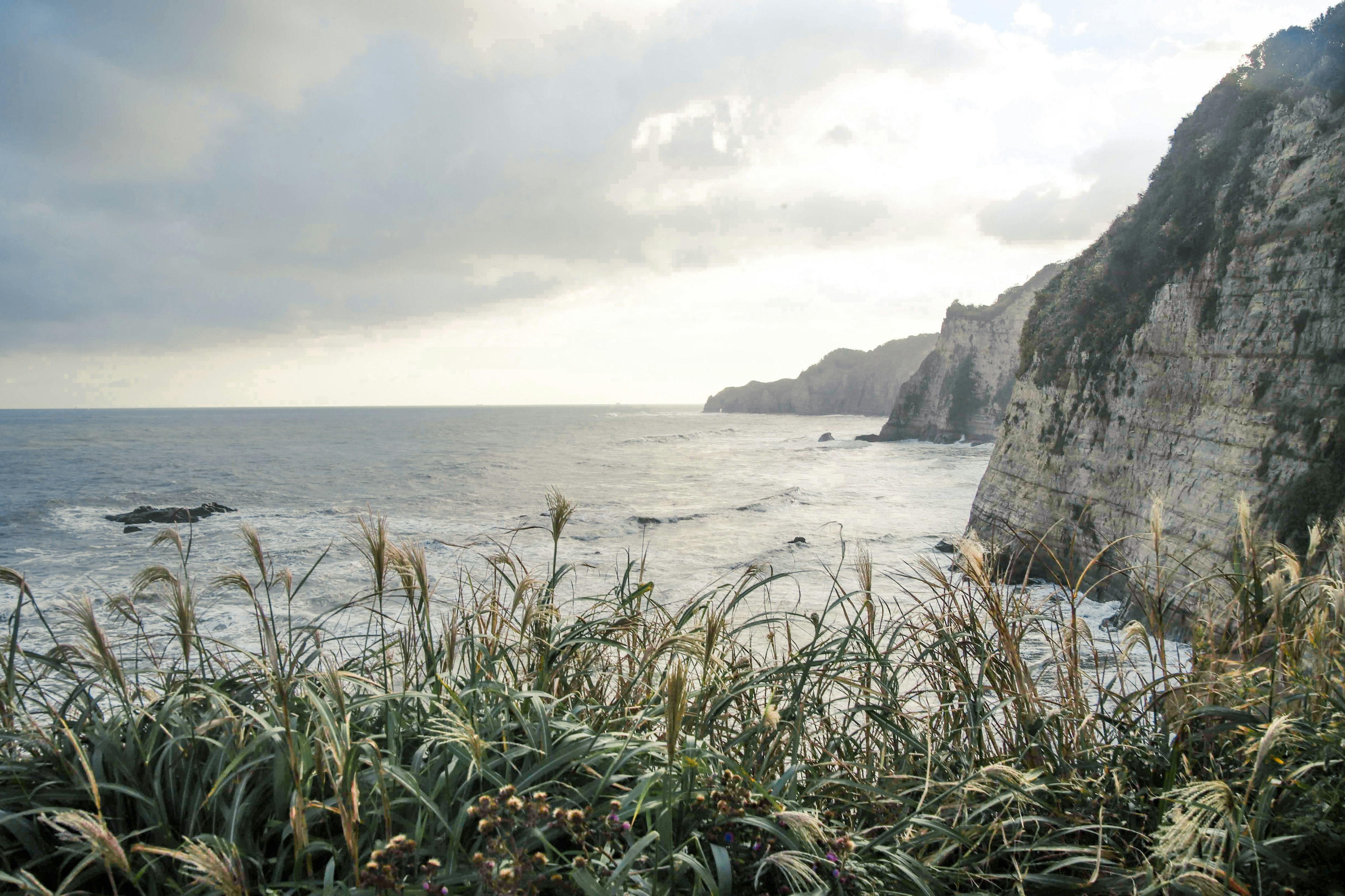 Paysage côtier avec de l'herbe et des falaises lumière du soleil se reflétant sur l'océan