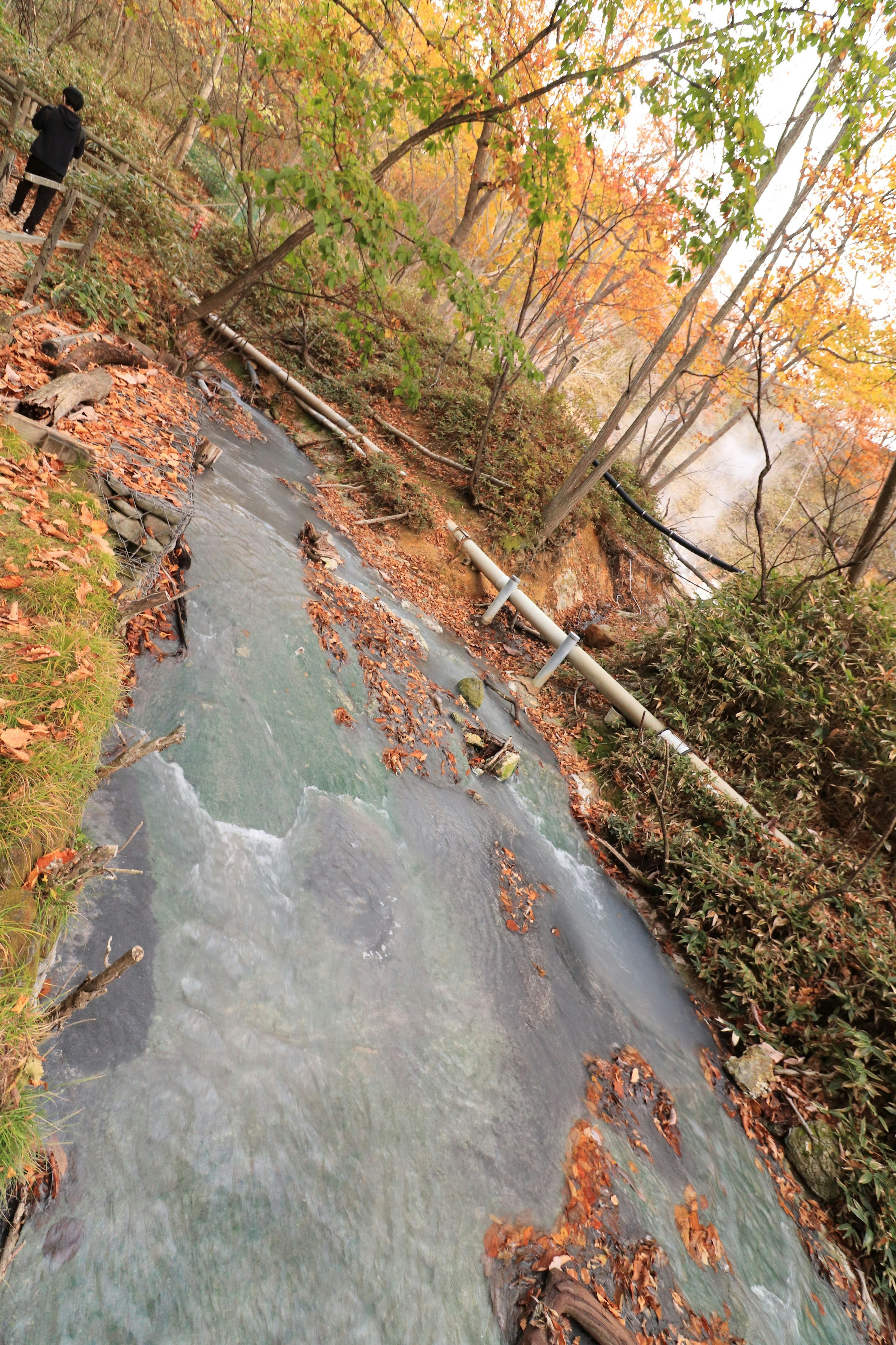 秋の風景の中に流れる小川と落ち葉