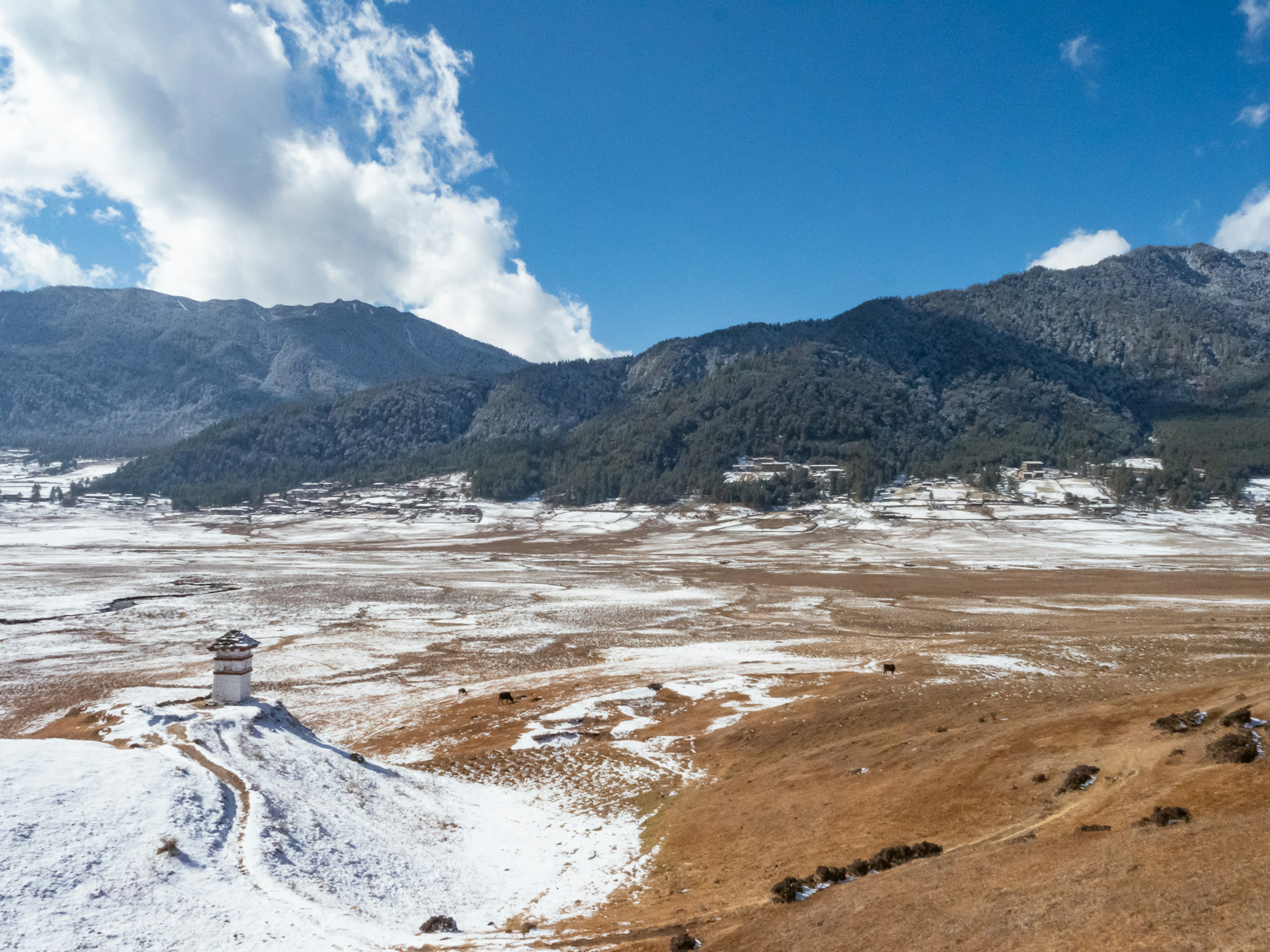 Weite schneebedeckte Wiese mit Bergen im Hintergrund