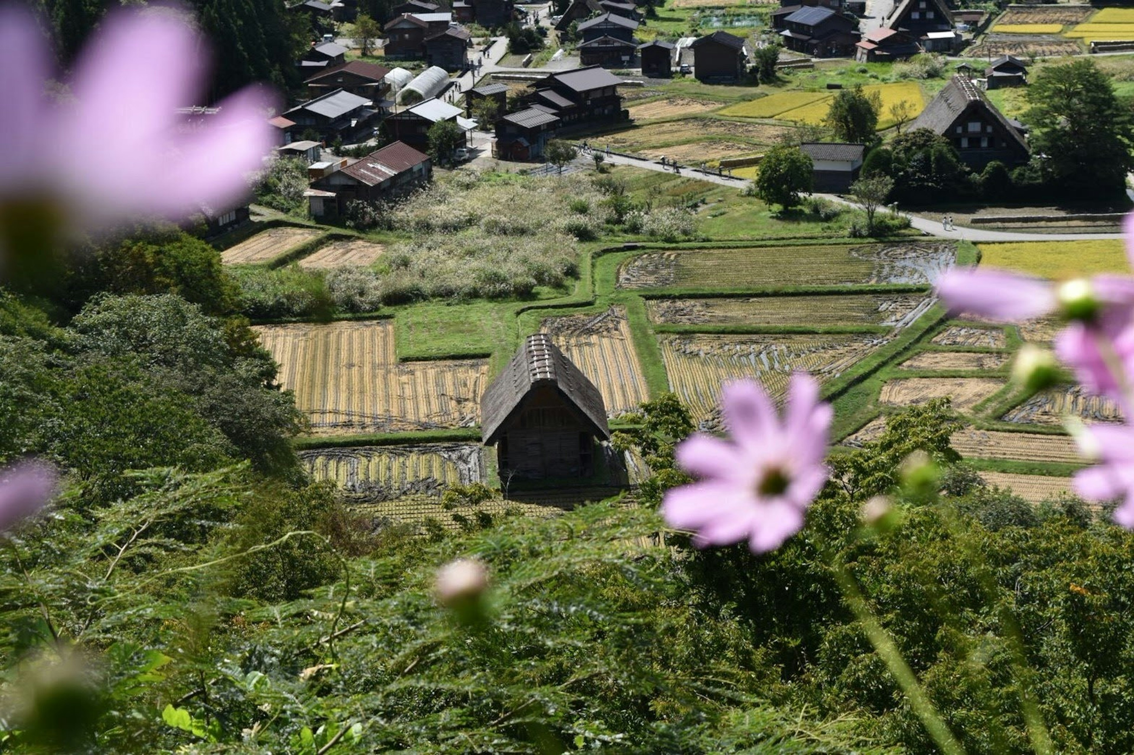 Una vista panoramica di un villaggio montano con fiori in fiore