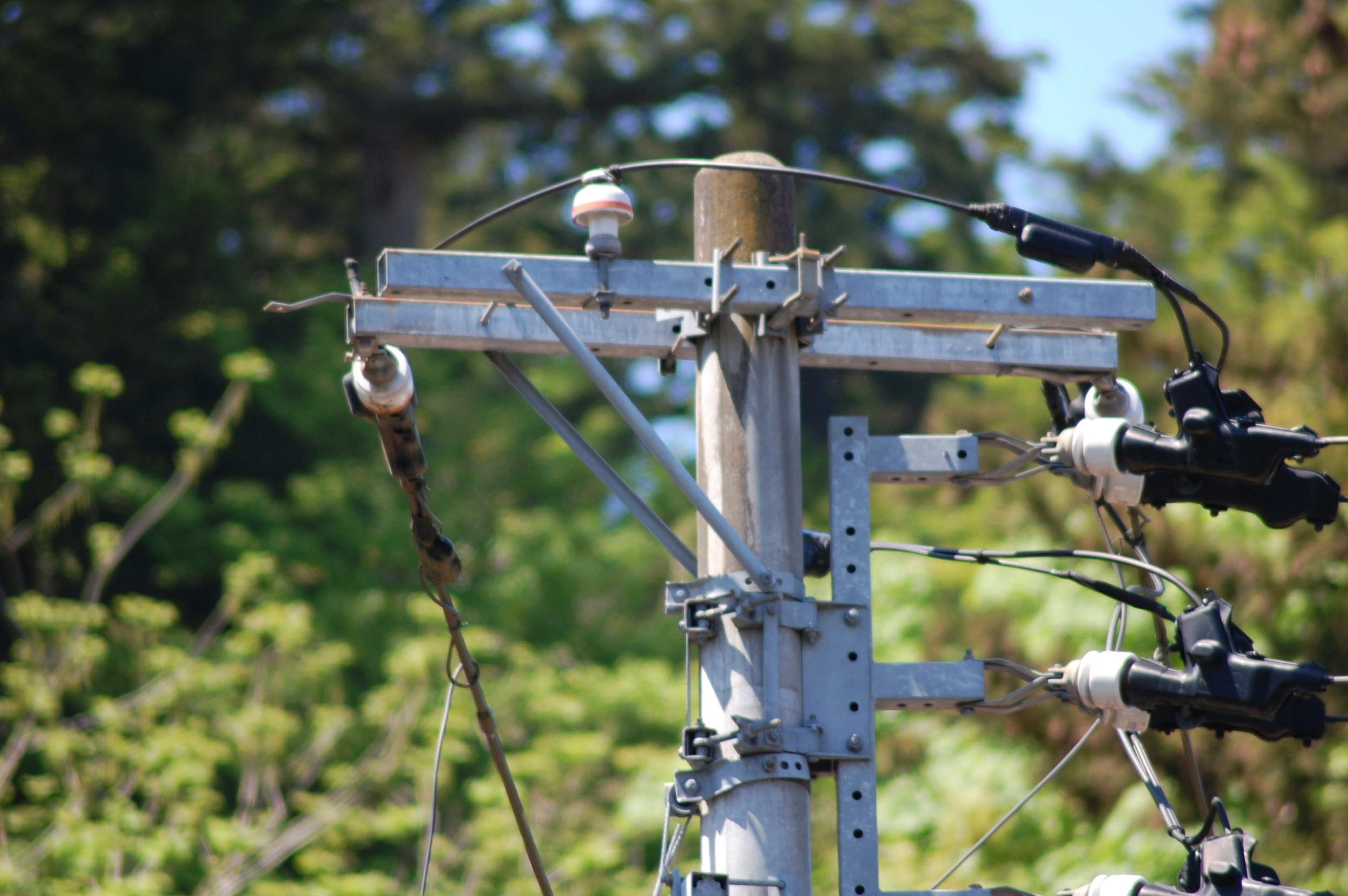 電柱と電線の接続部の近接写真 緑の背景