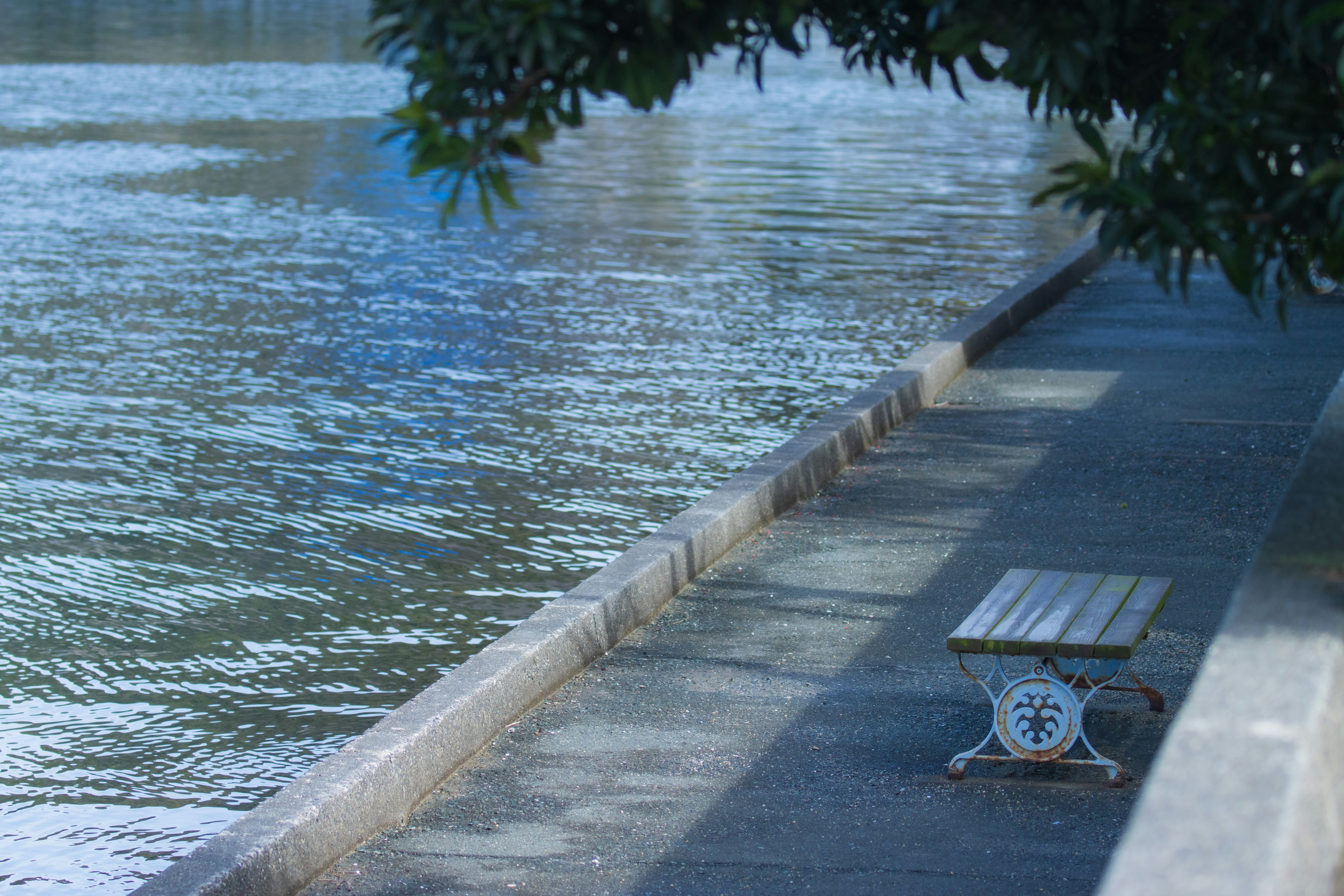 Un banc près d'une surface d'eau bleue avec un chemin pavé