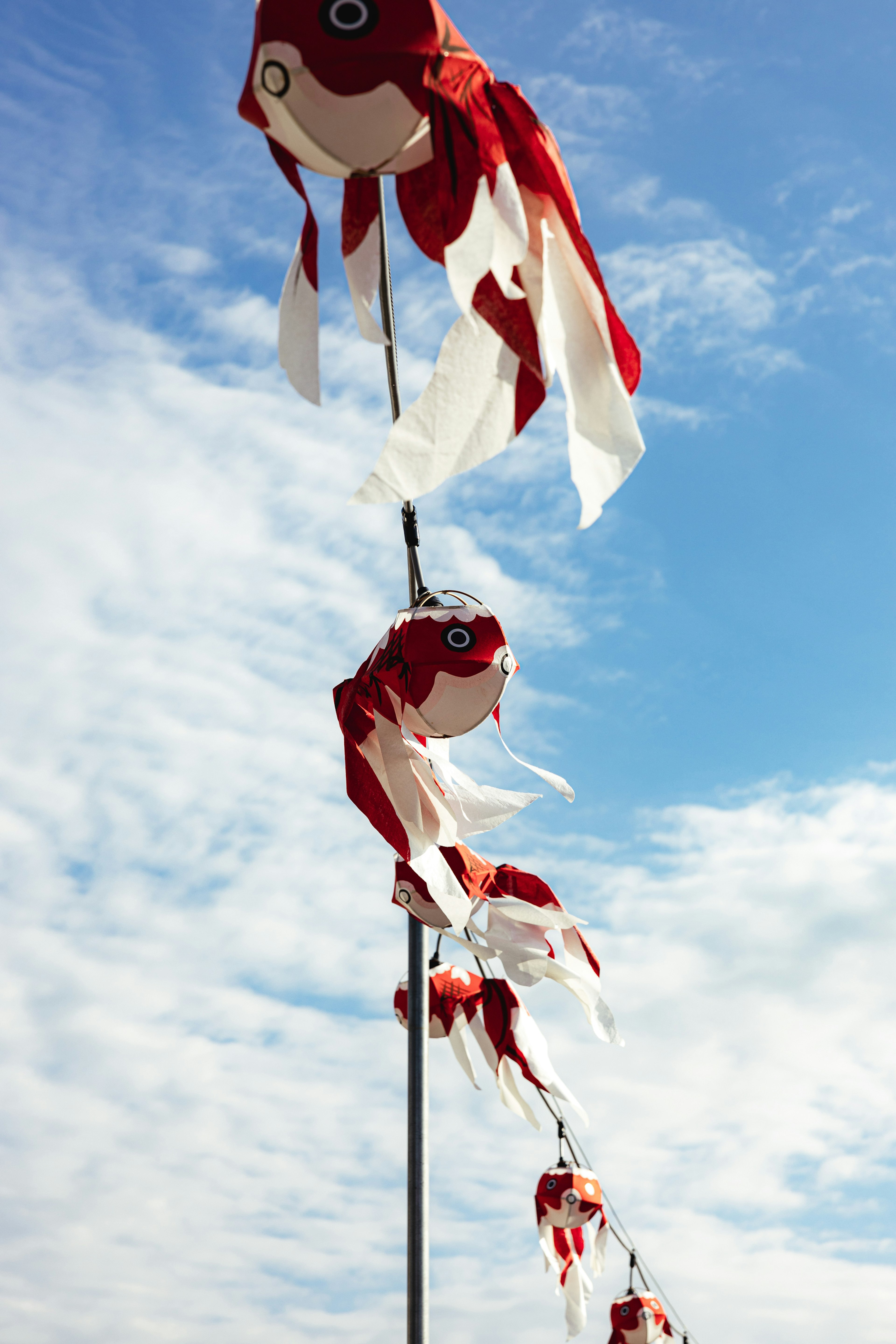 Une rangée de drapeaux de koi rouges suspendus sous un ciel bleu