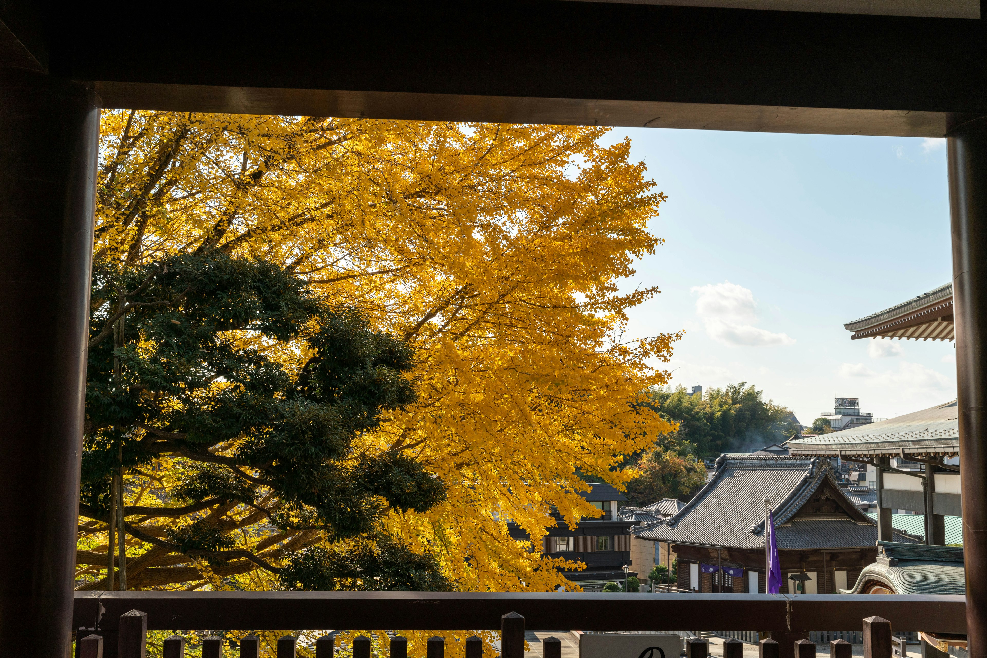 秋の黄色い葉が美しい木と青空を背景にした景色