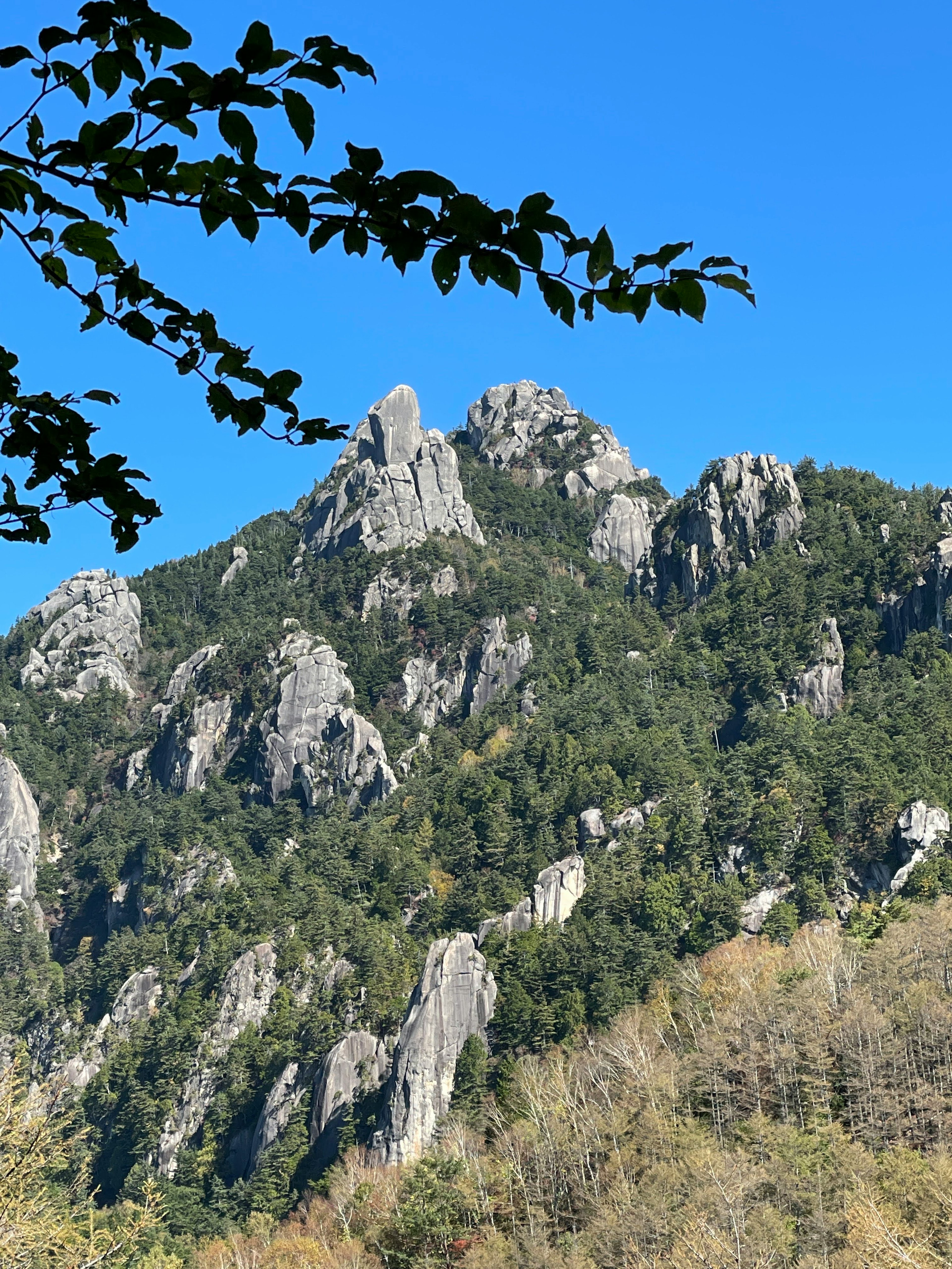 Vista panoramica di montagne aspre con vegetazione lussureggiante e cielo blu chiaro