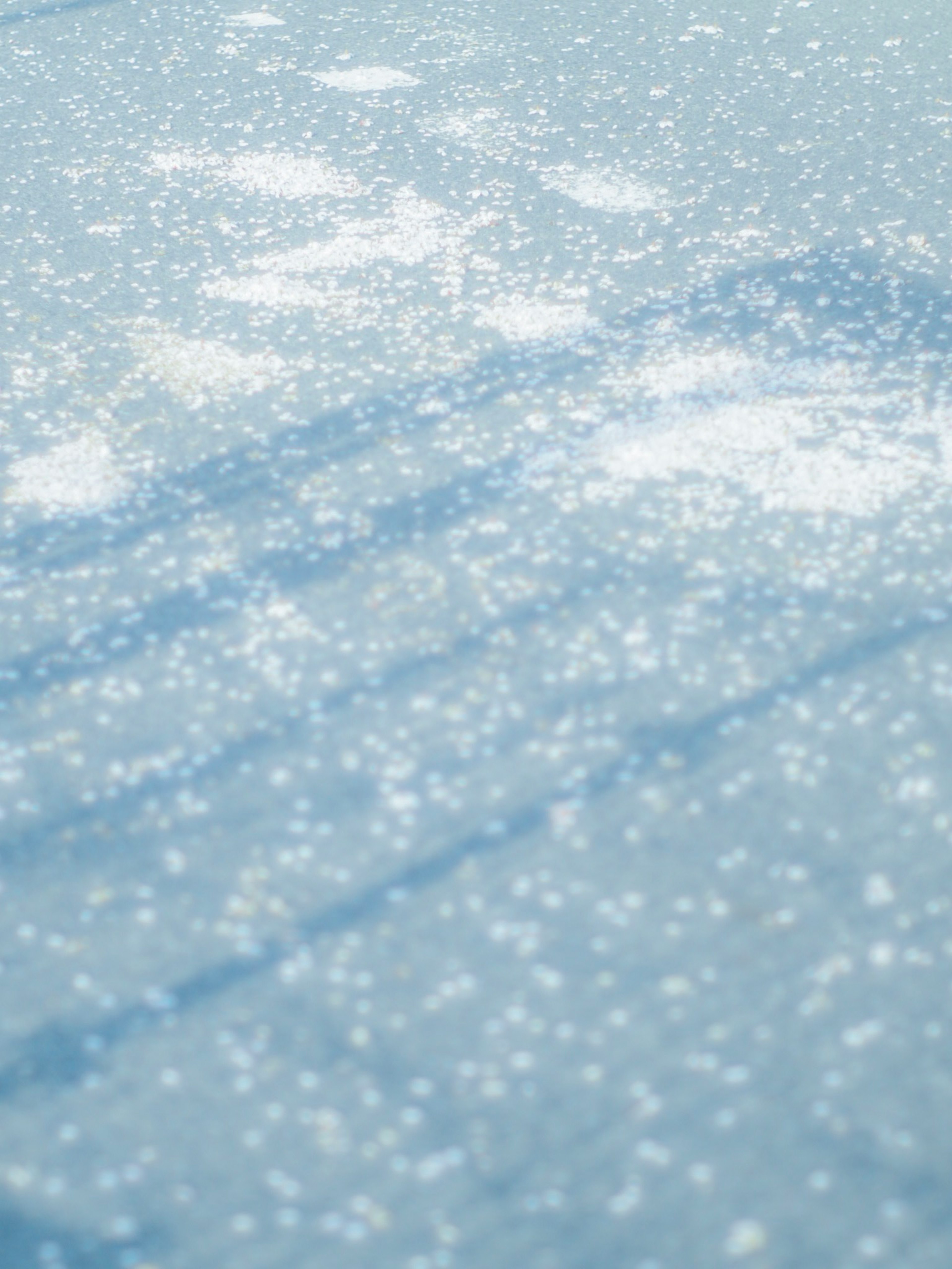 Textur mit verstreutem weißen Pulver auf blauem Hintergrund