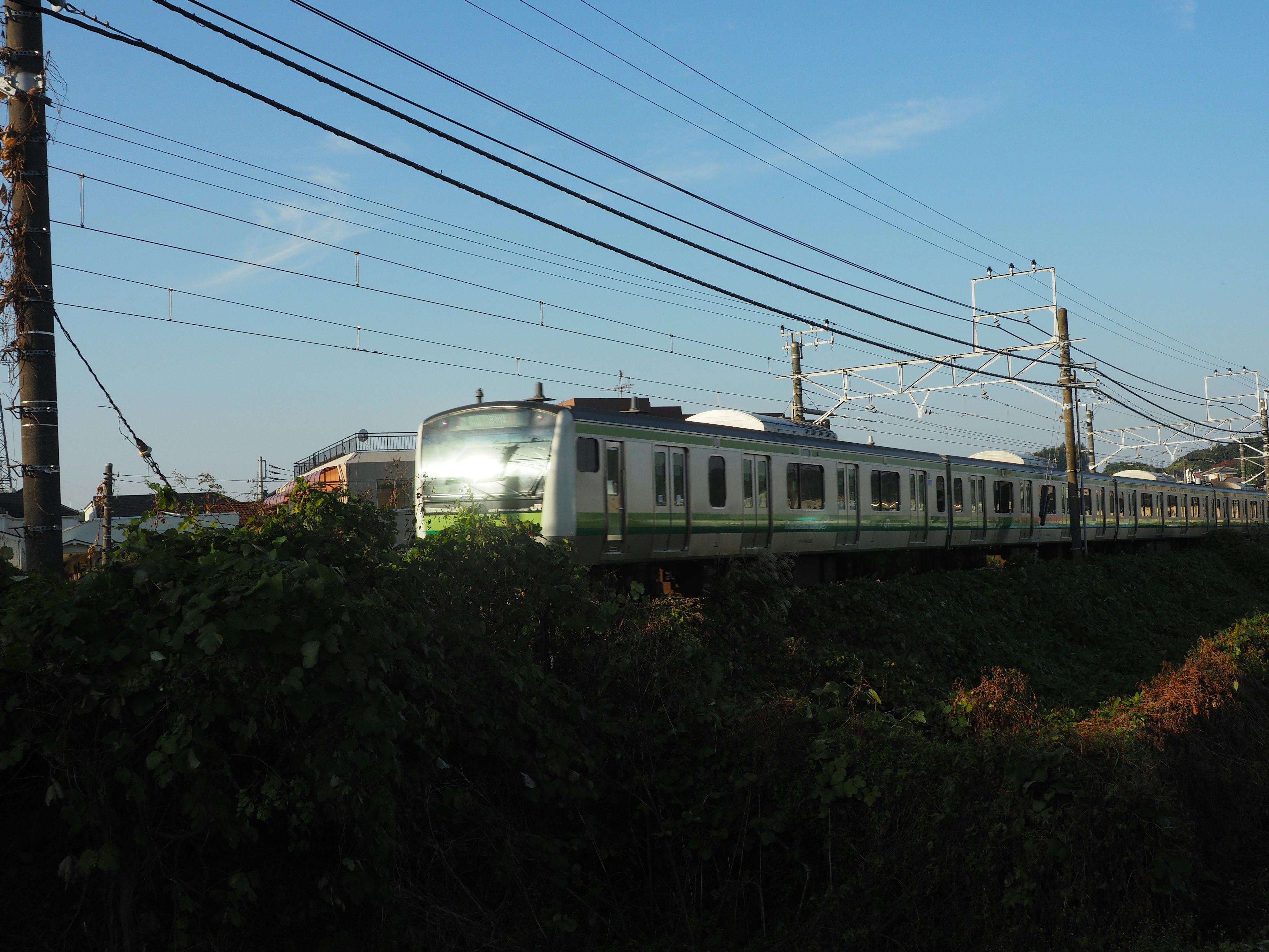 青空の下を走る緑色の電車と周囲の風景