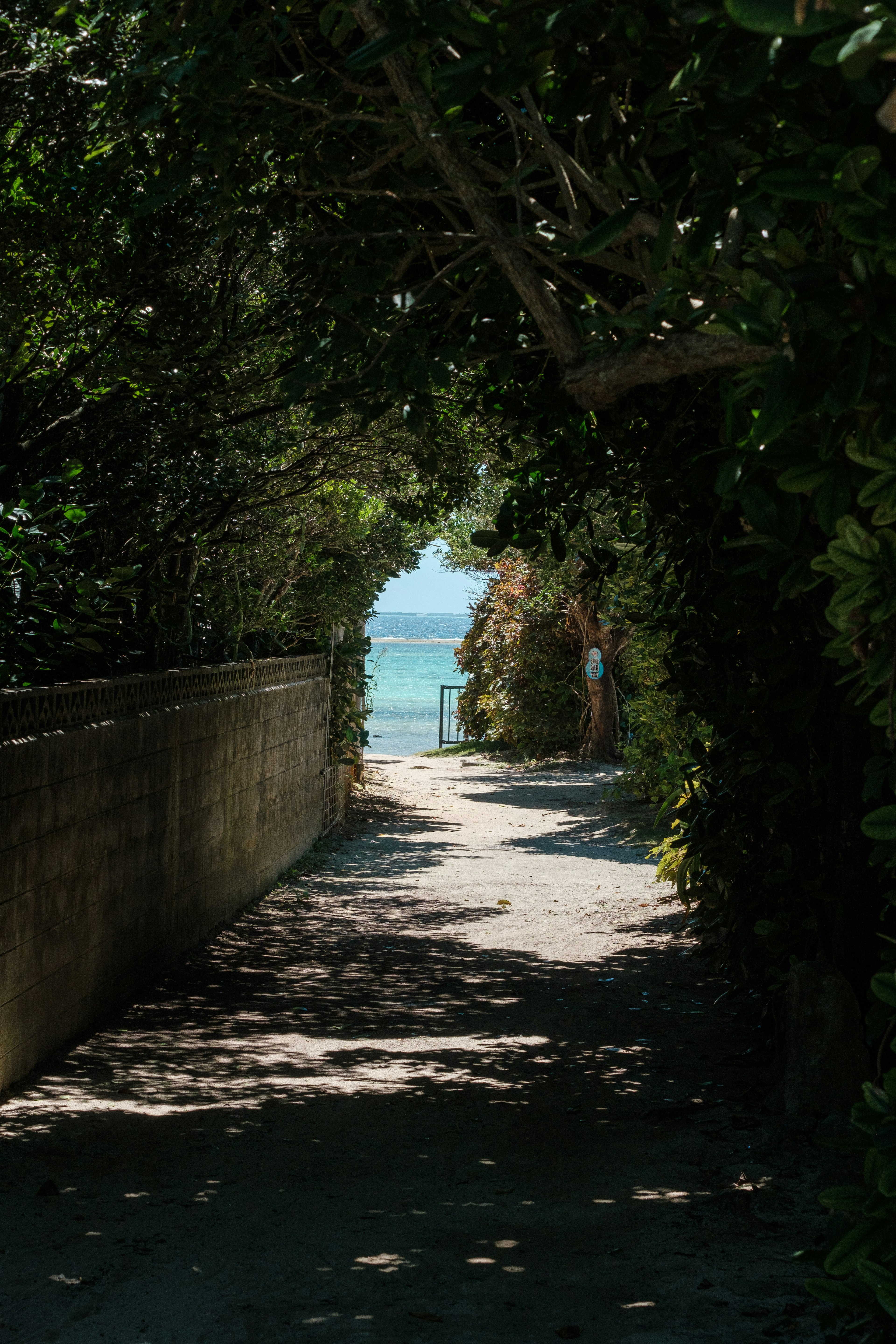 A narrow path surrounded by greenery leading to the sea