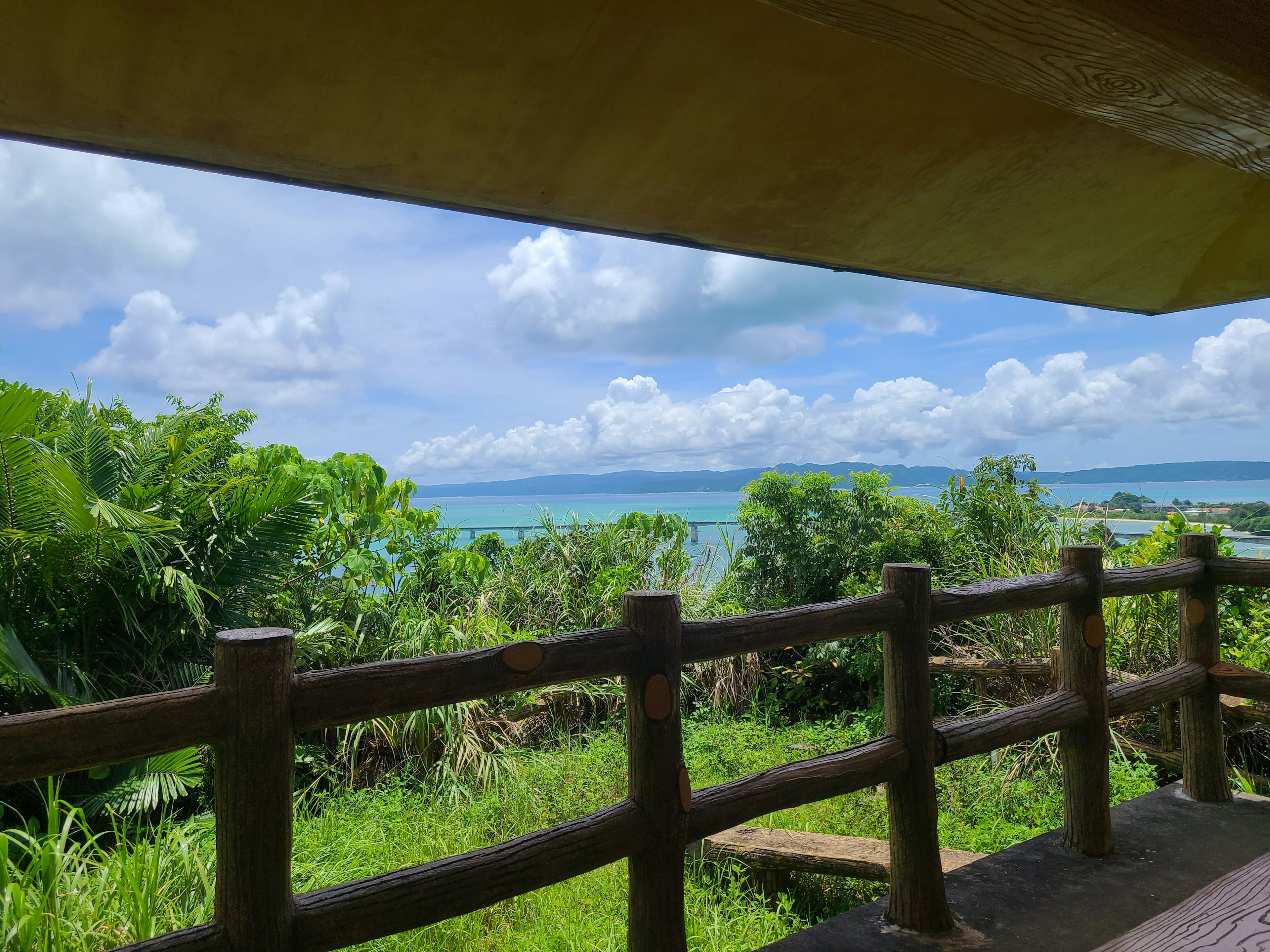 Pemandangan indah dari vegetasi subur dengan lautan dan langit biru di latar belakang