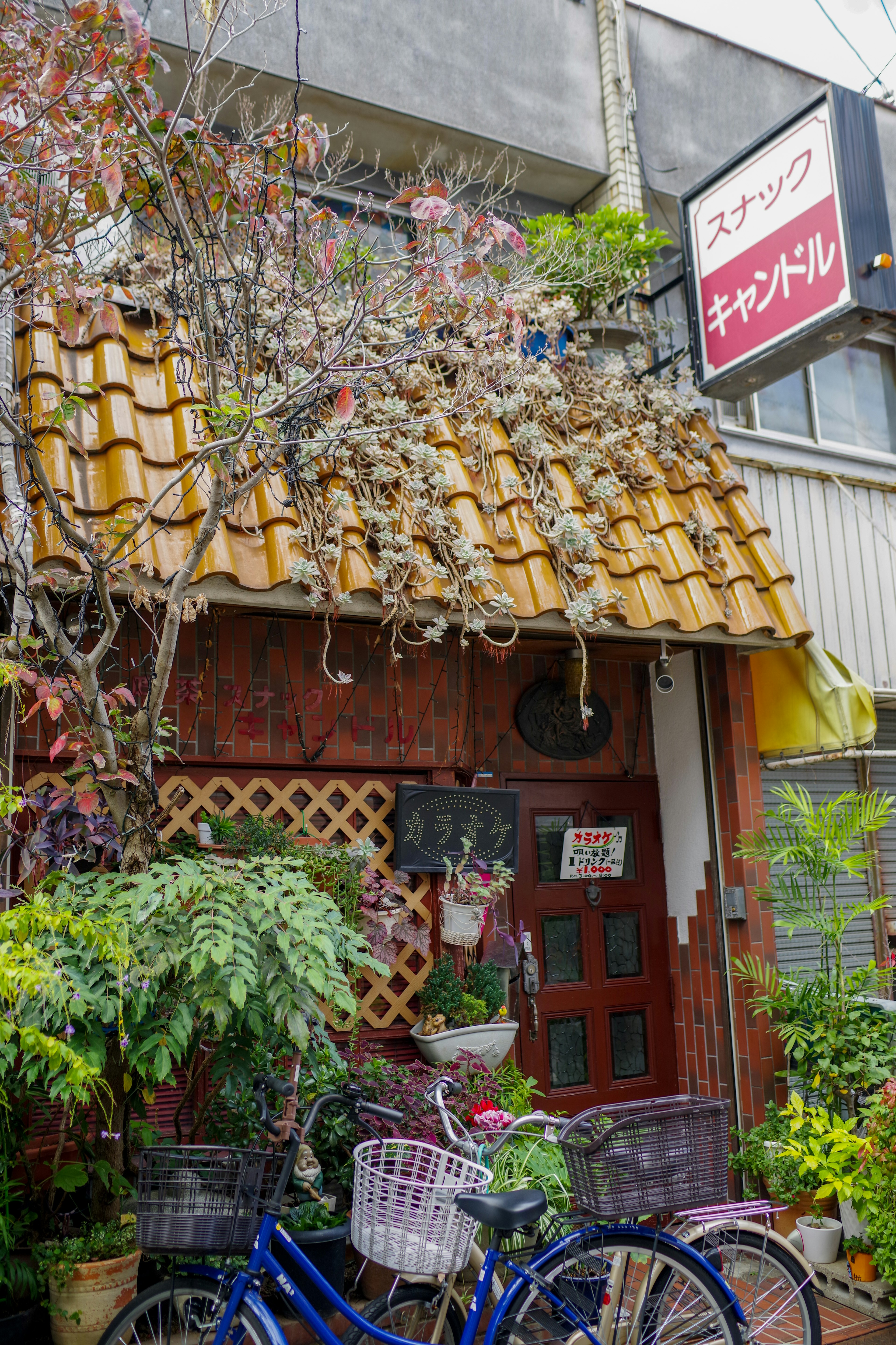 迷人的咖啡館外觀 獨特的屋頂 周圍有植物 前面停著一輛自行車