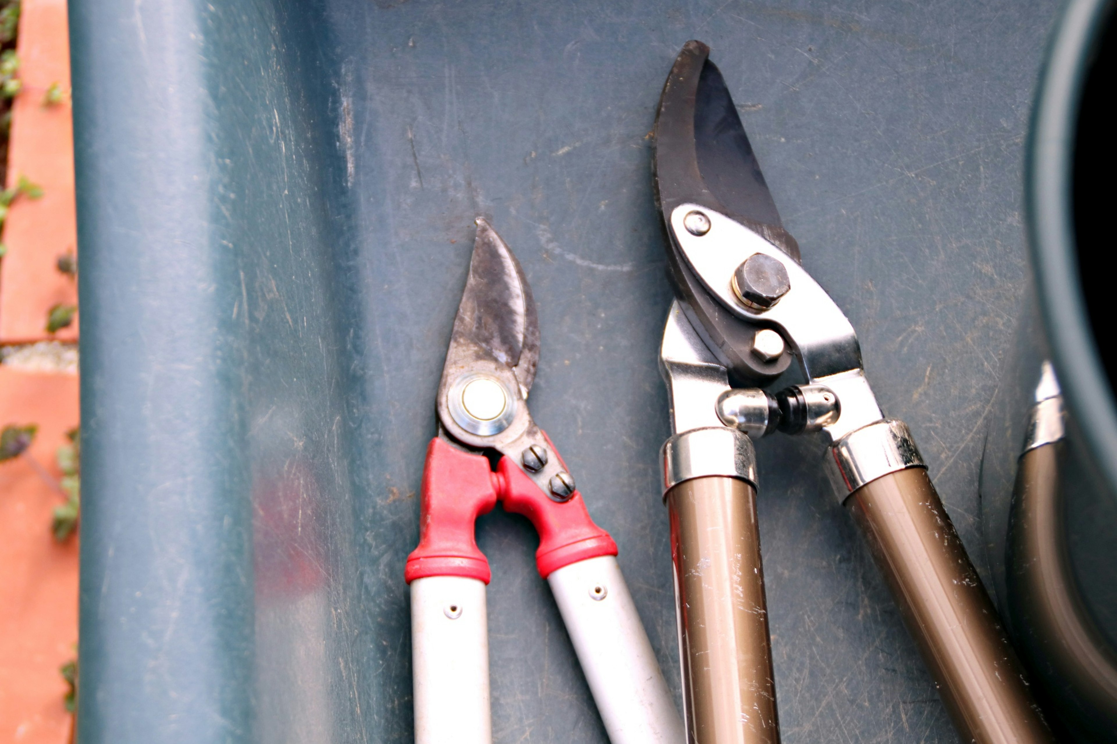 Red-handled pruning shears and metal pruning shears are placed side by side