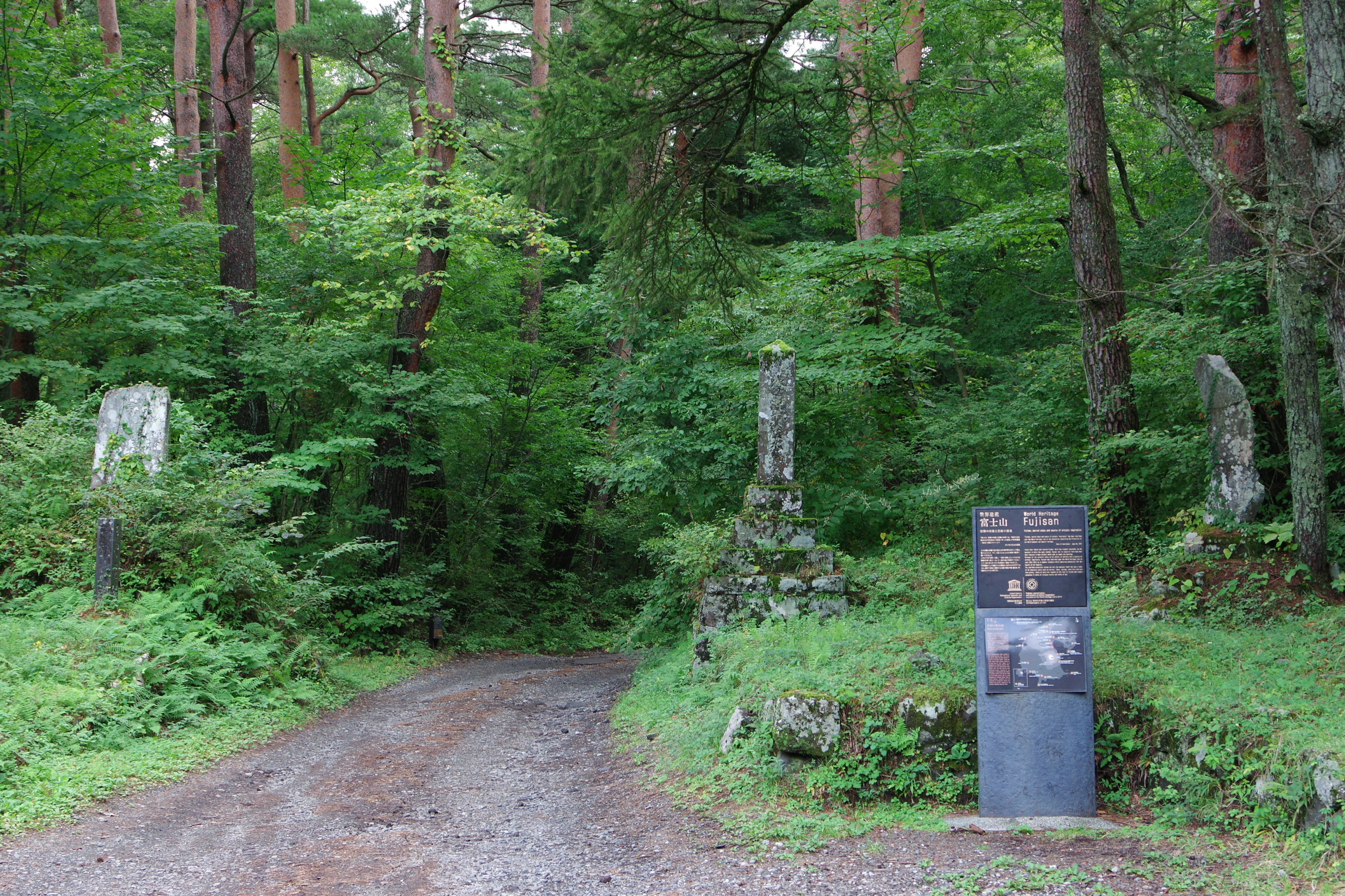 Un sentiero nel bosco che conduce a monumenti di pietra circondati da vegetazione lussureggiante