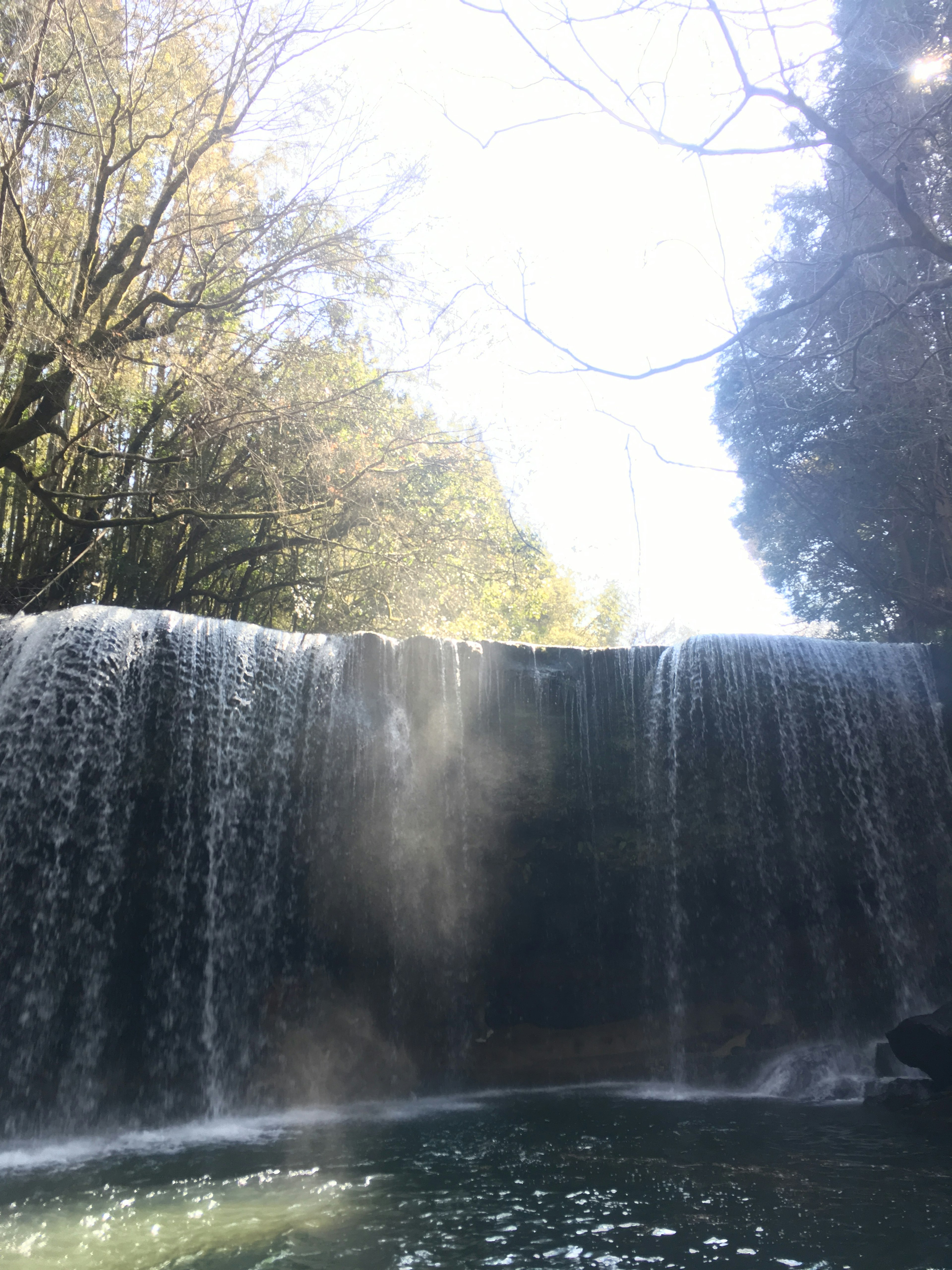 Cascata panoramica circondata da vegetazione lussureggiante