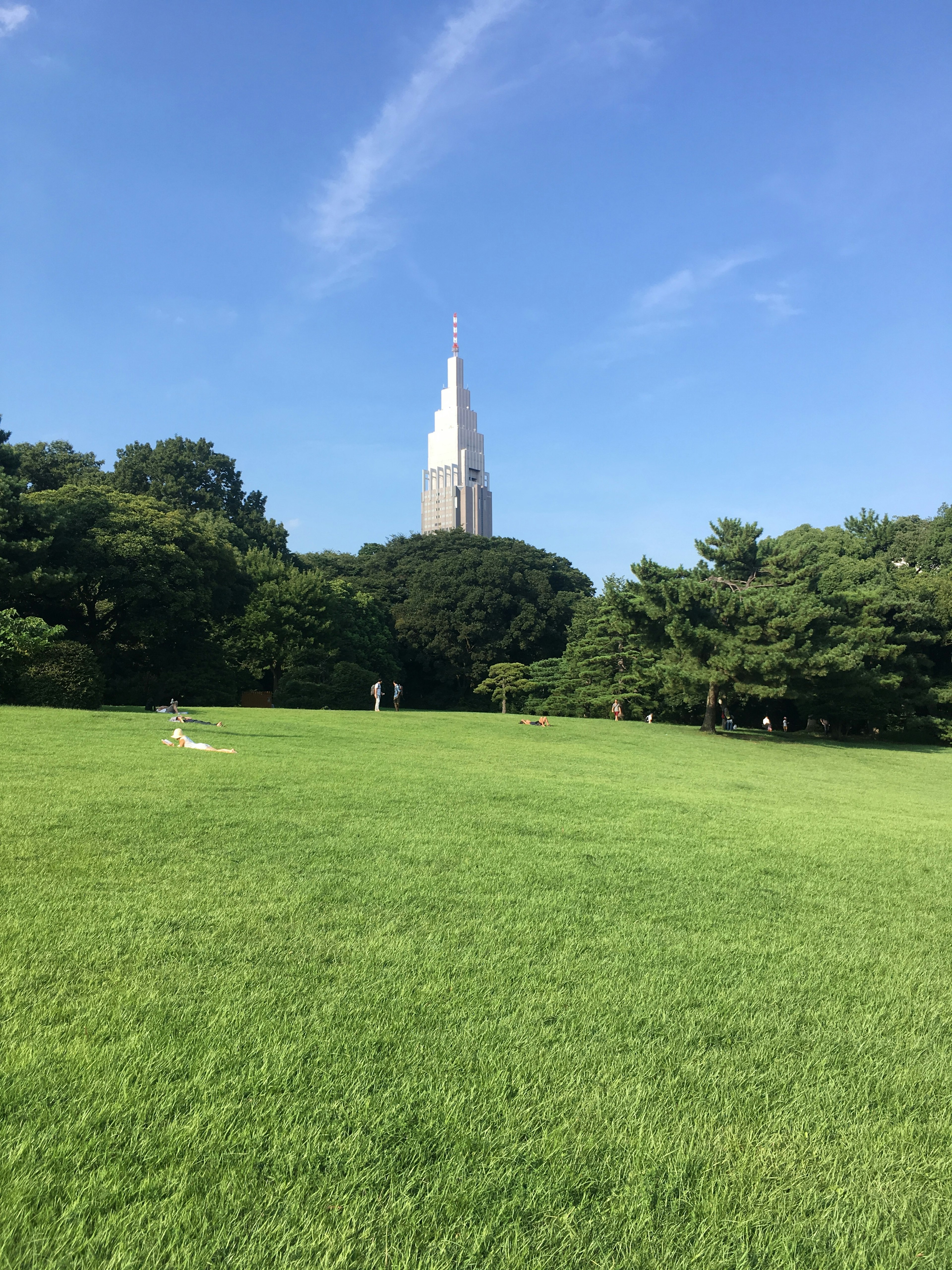 Green grass field under blue sky with a tall building in the background