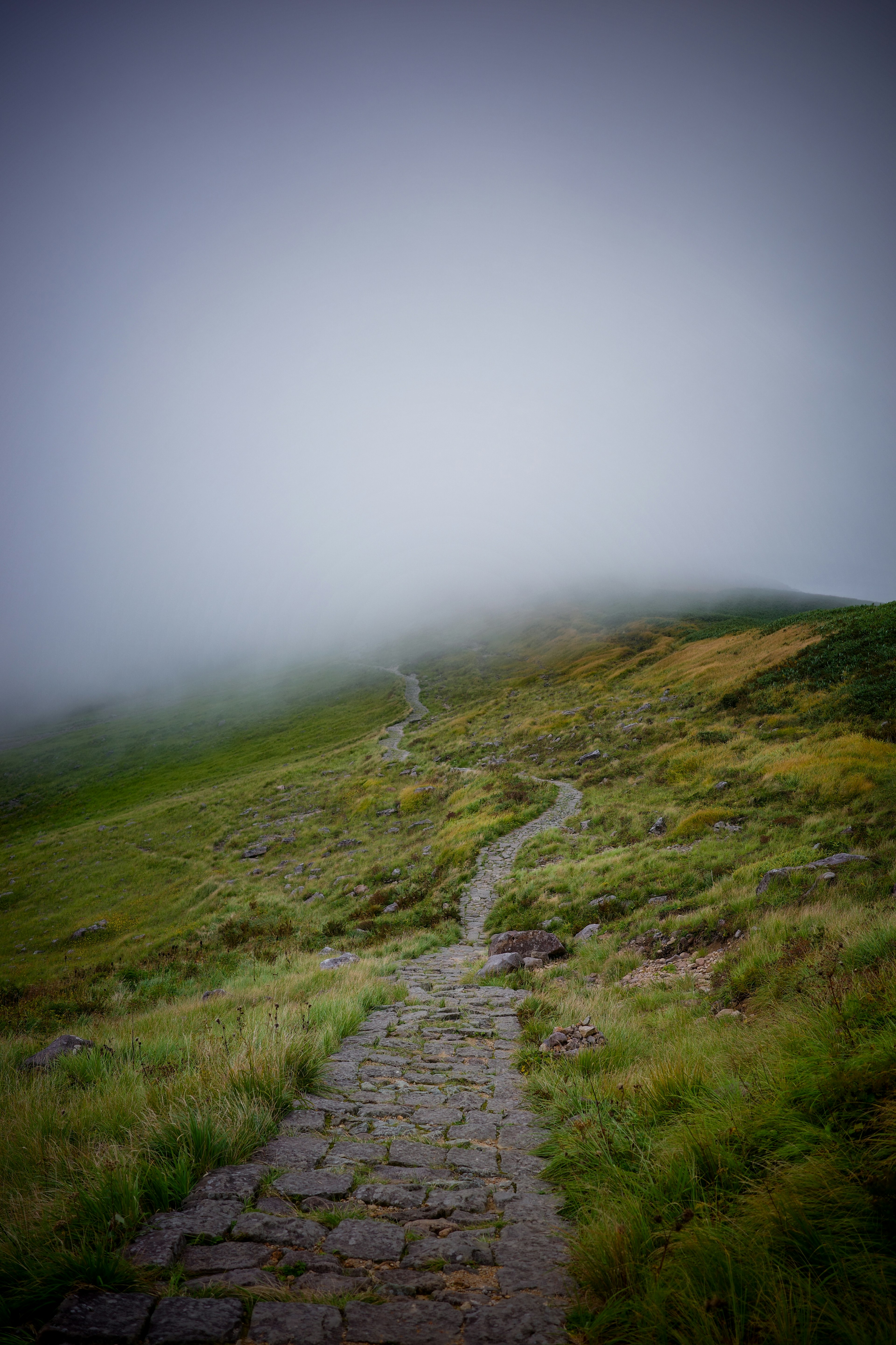 霧に包まれた山道が続く風景 緑の草原と石の小道