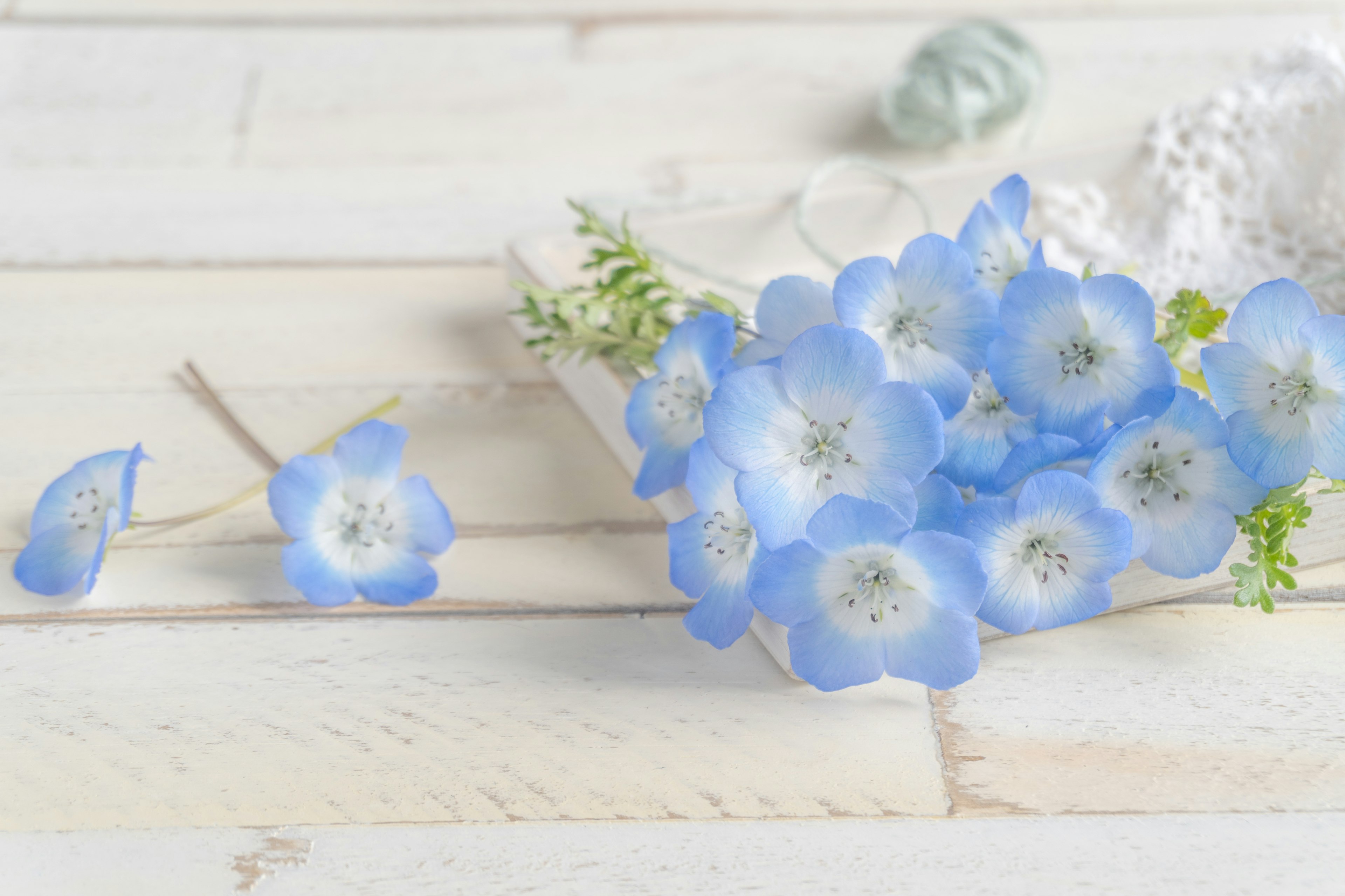 A serene arrangement of blue flowers with green leaves on a light wooden surface