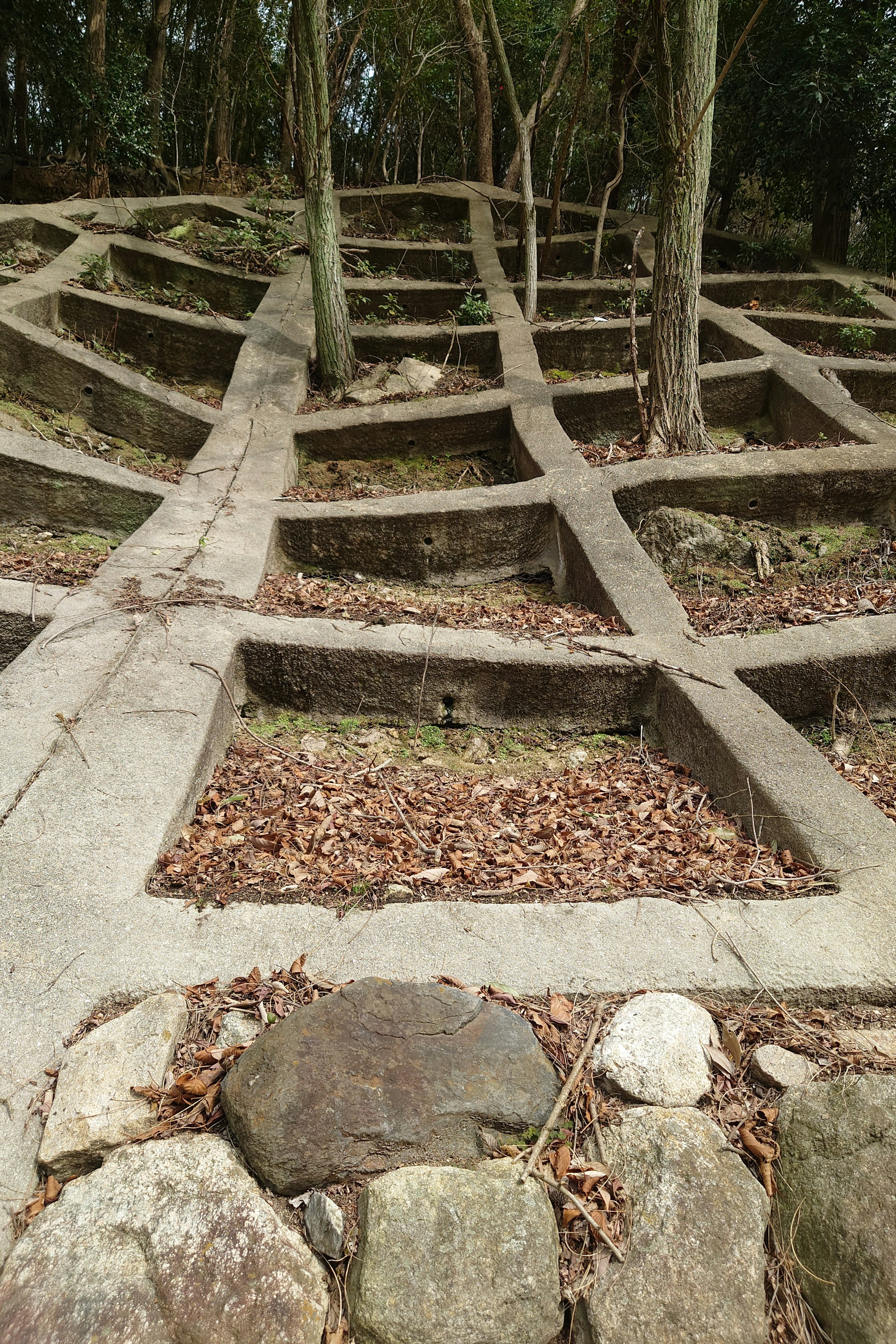 Structure en béton en grille avec des arbres environnants et des textures terreuses