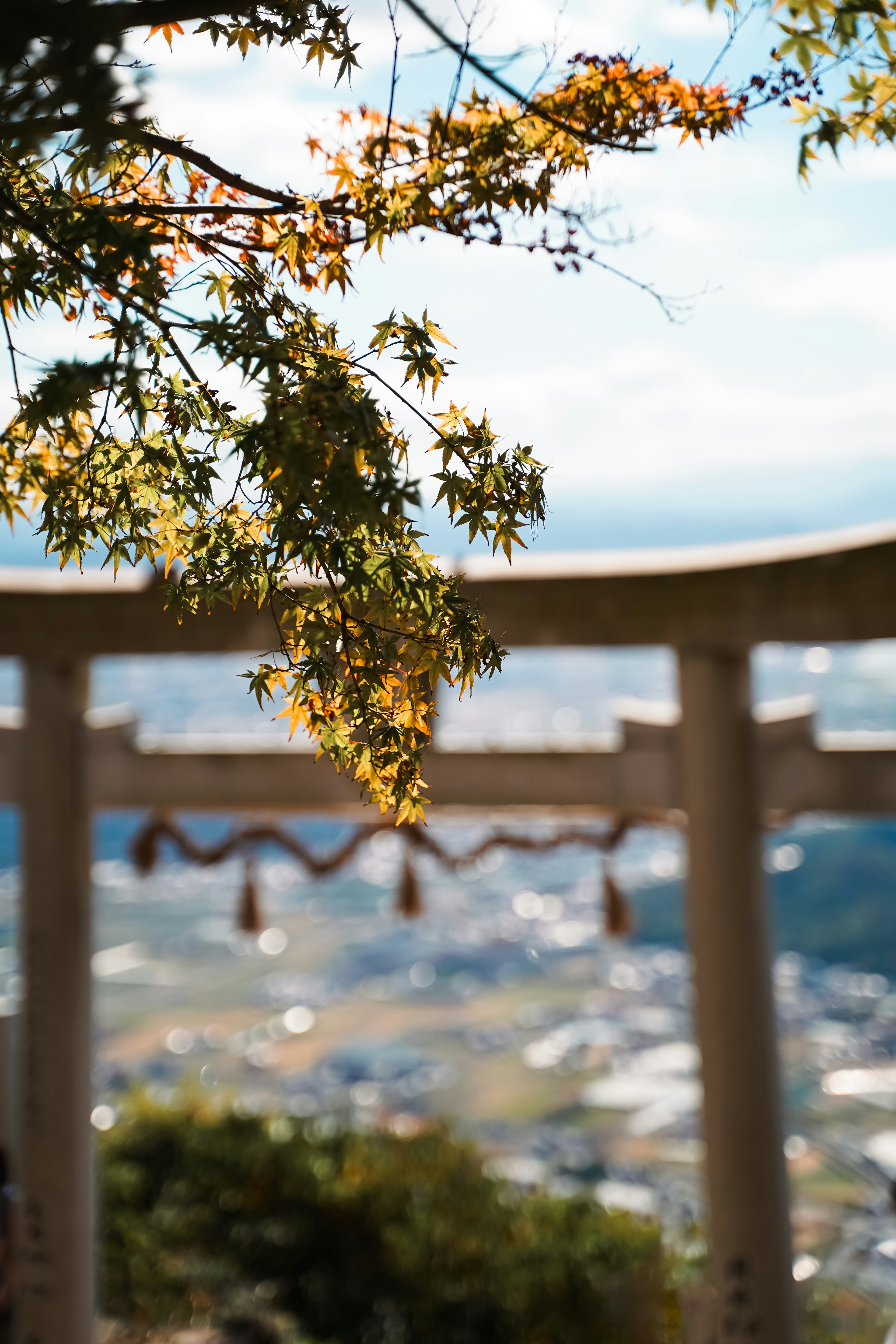 Torii gate framed by autumn leaves and scenic view