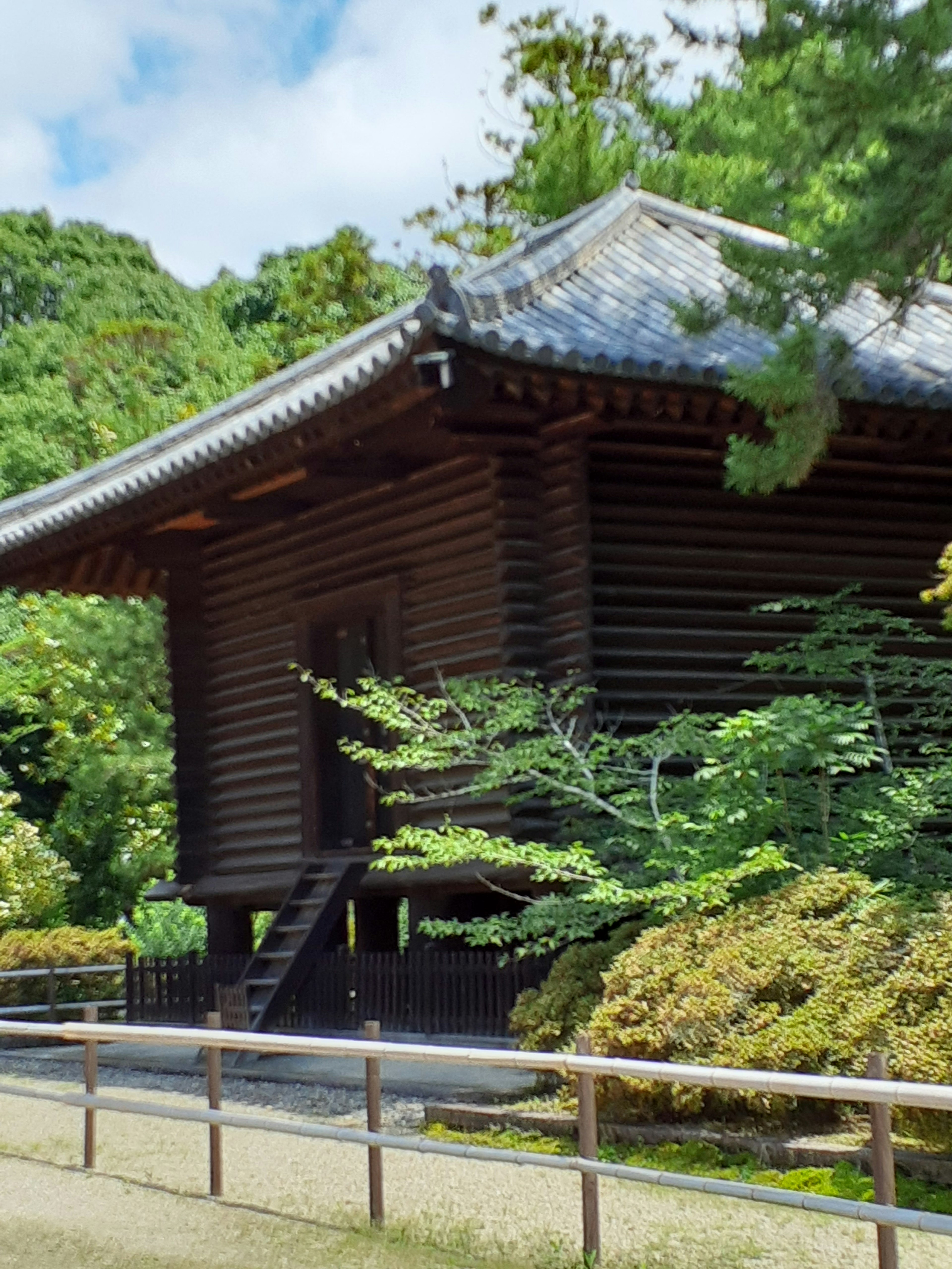 美しい木製の寺院と緑豊かな庭園の風景