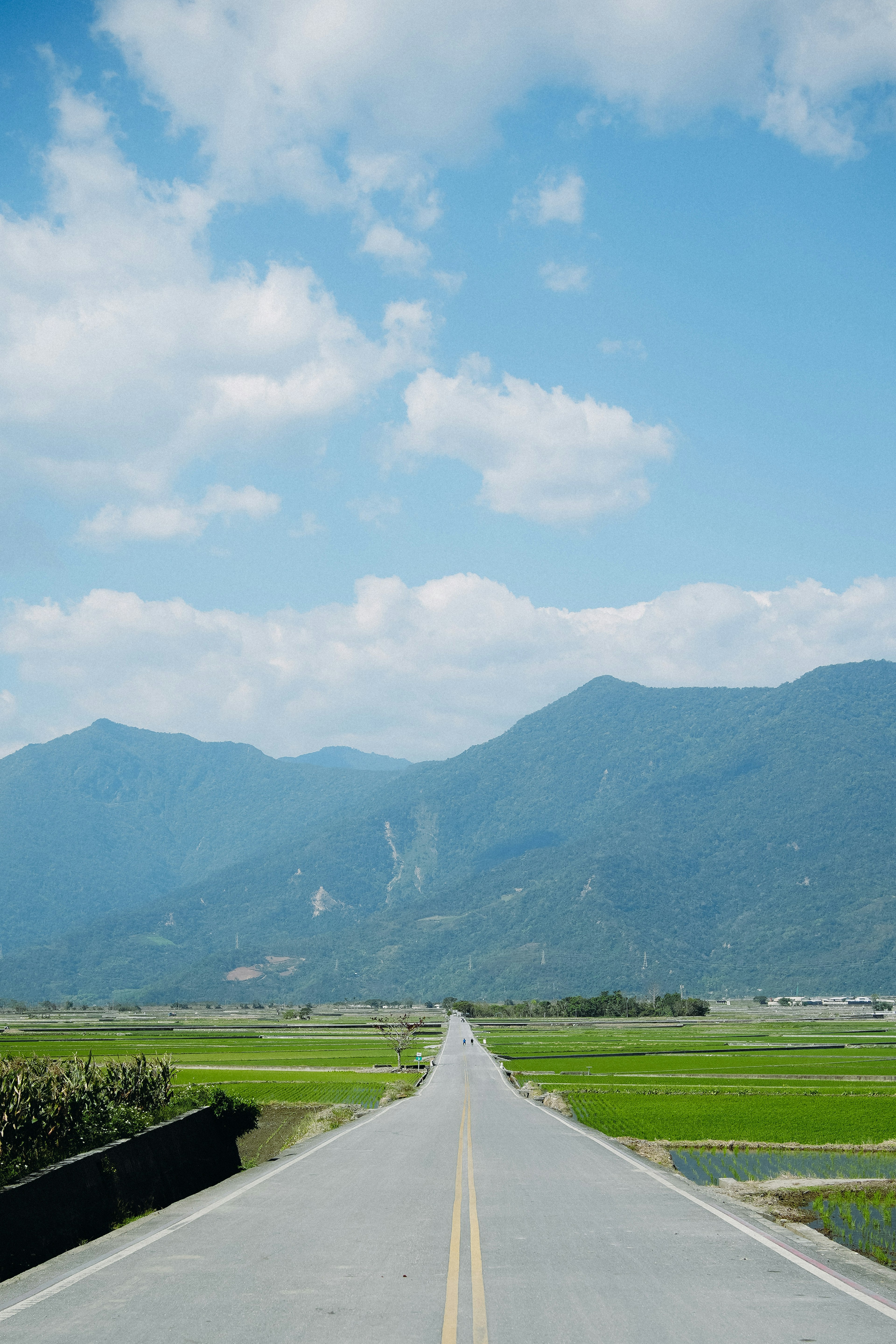 青い空と白い雲の下に広がる田園風景と山々