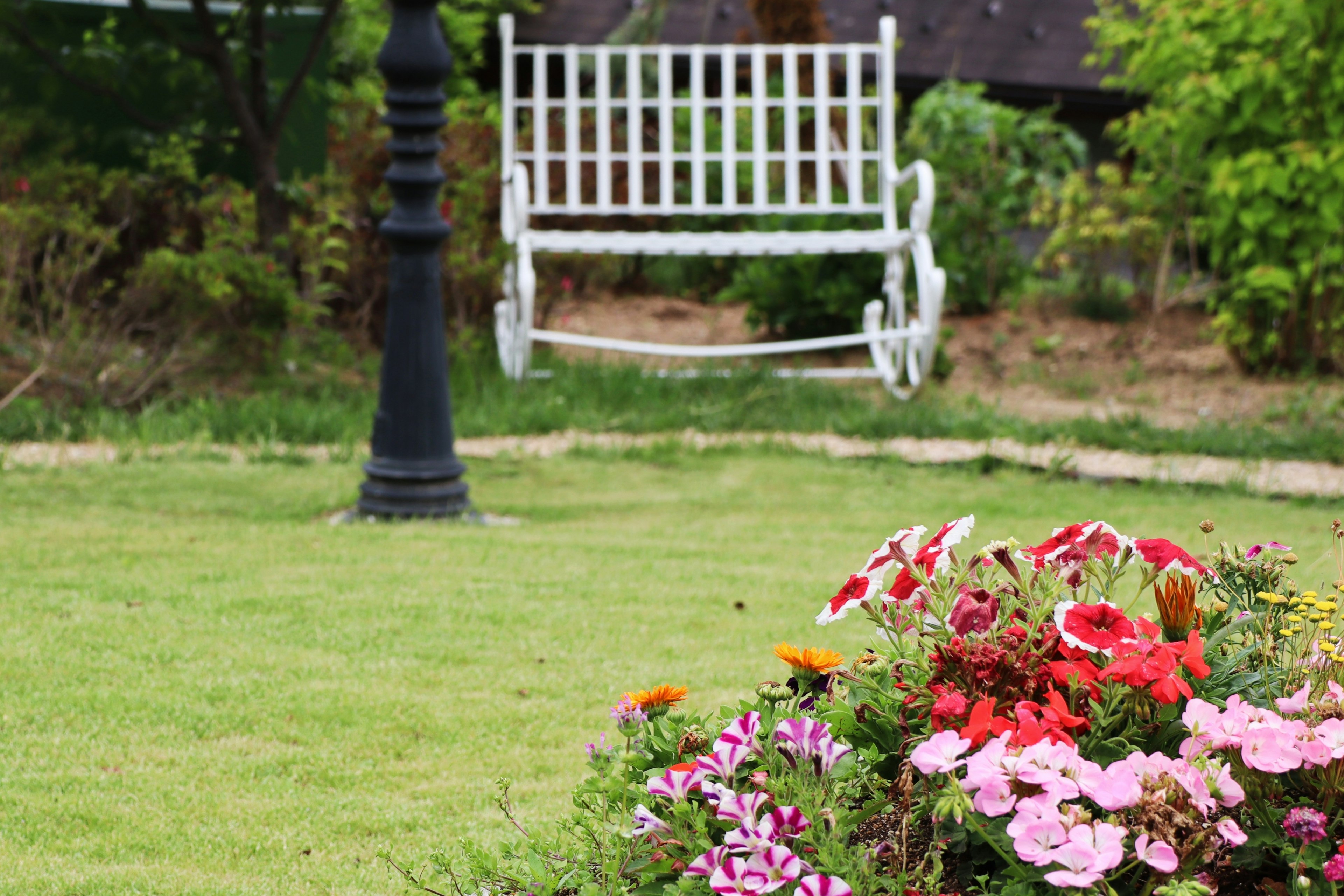 A white bench in a garden surrounded by colorful flowers