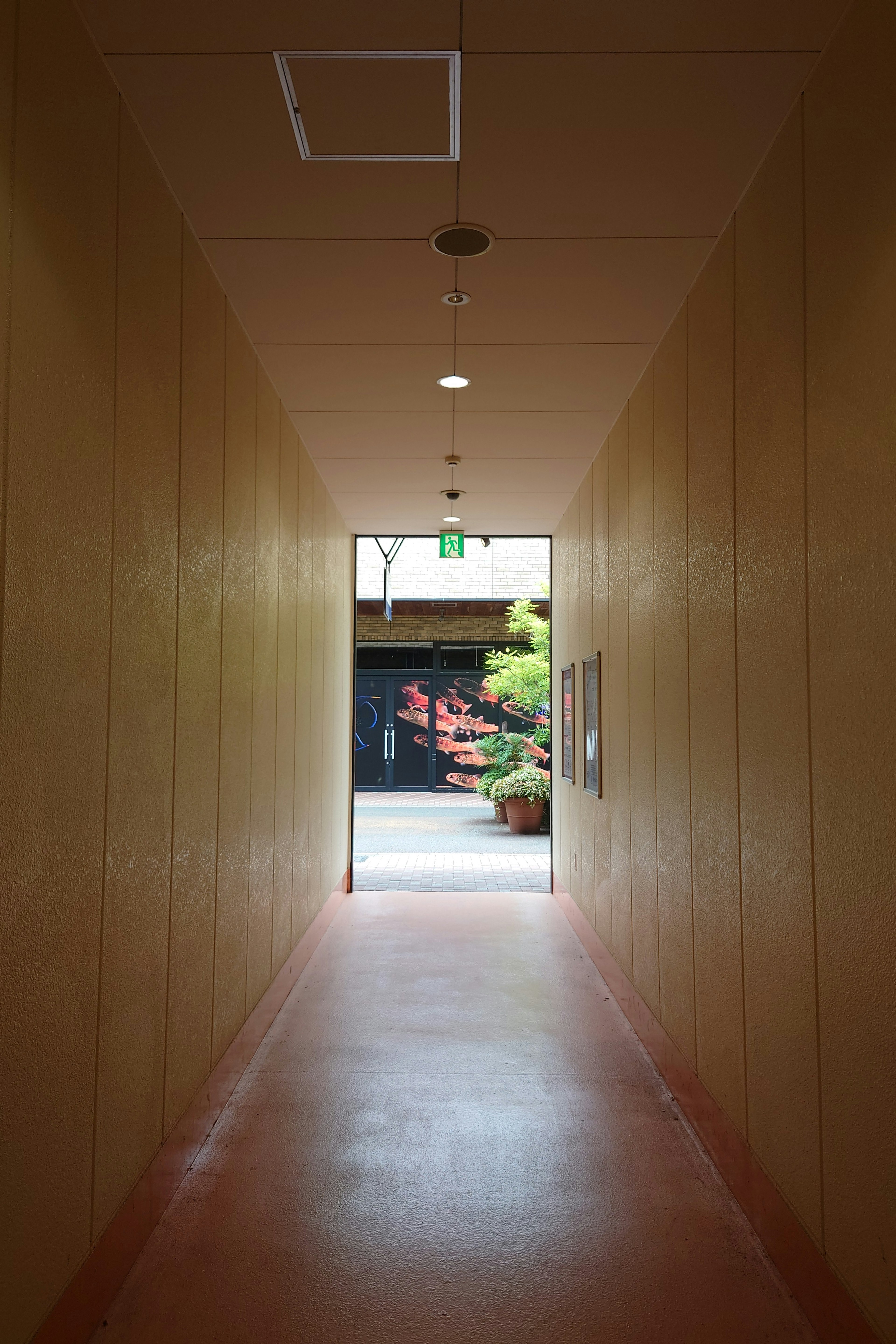 Bright hallway leading to a visible garden