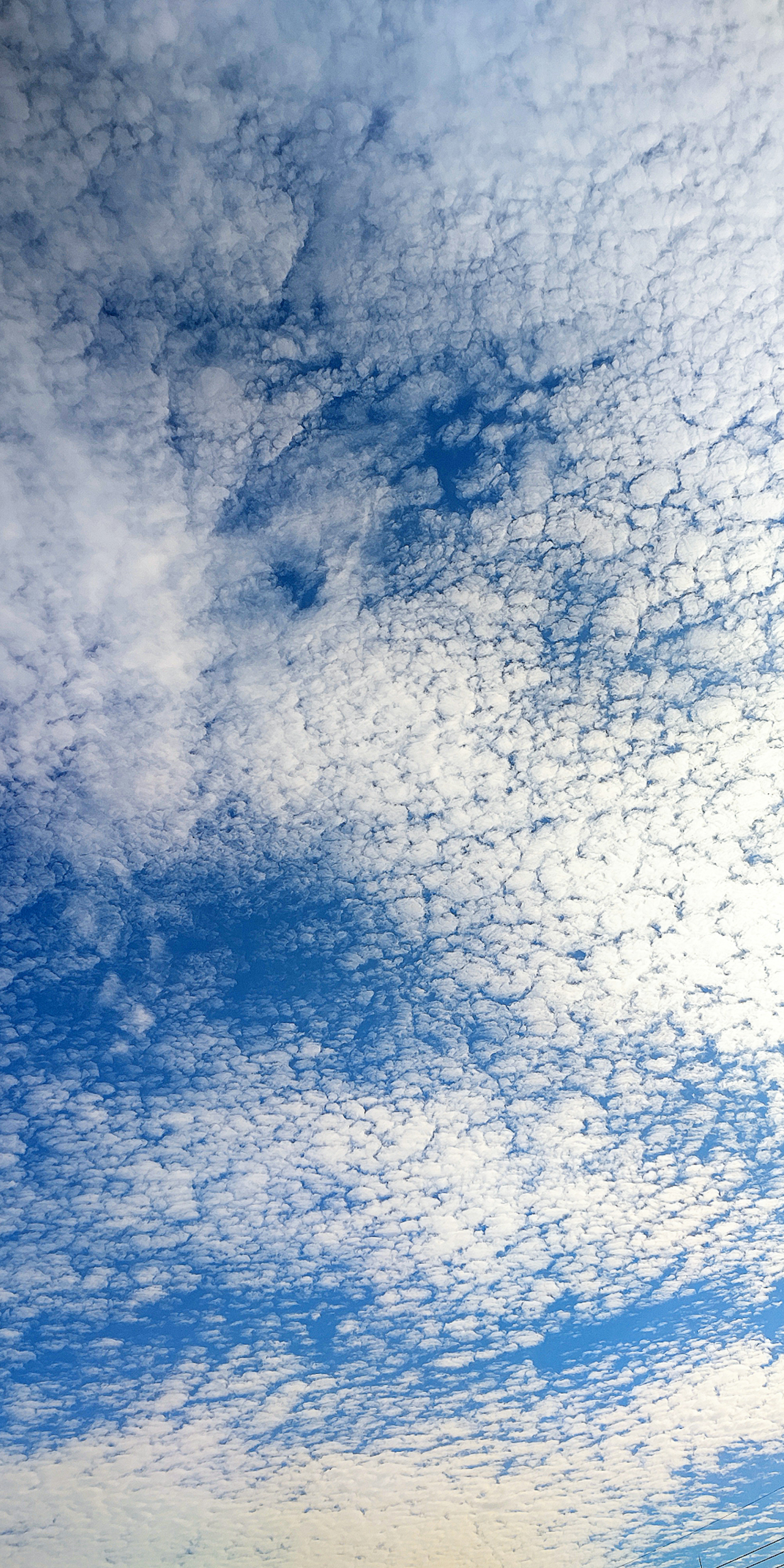 Ciel bleu expansif avec des nuages blancs