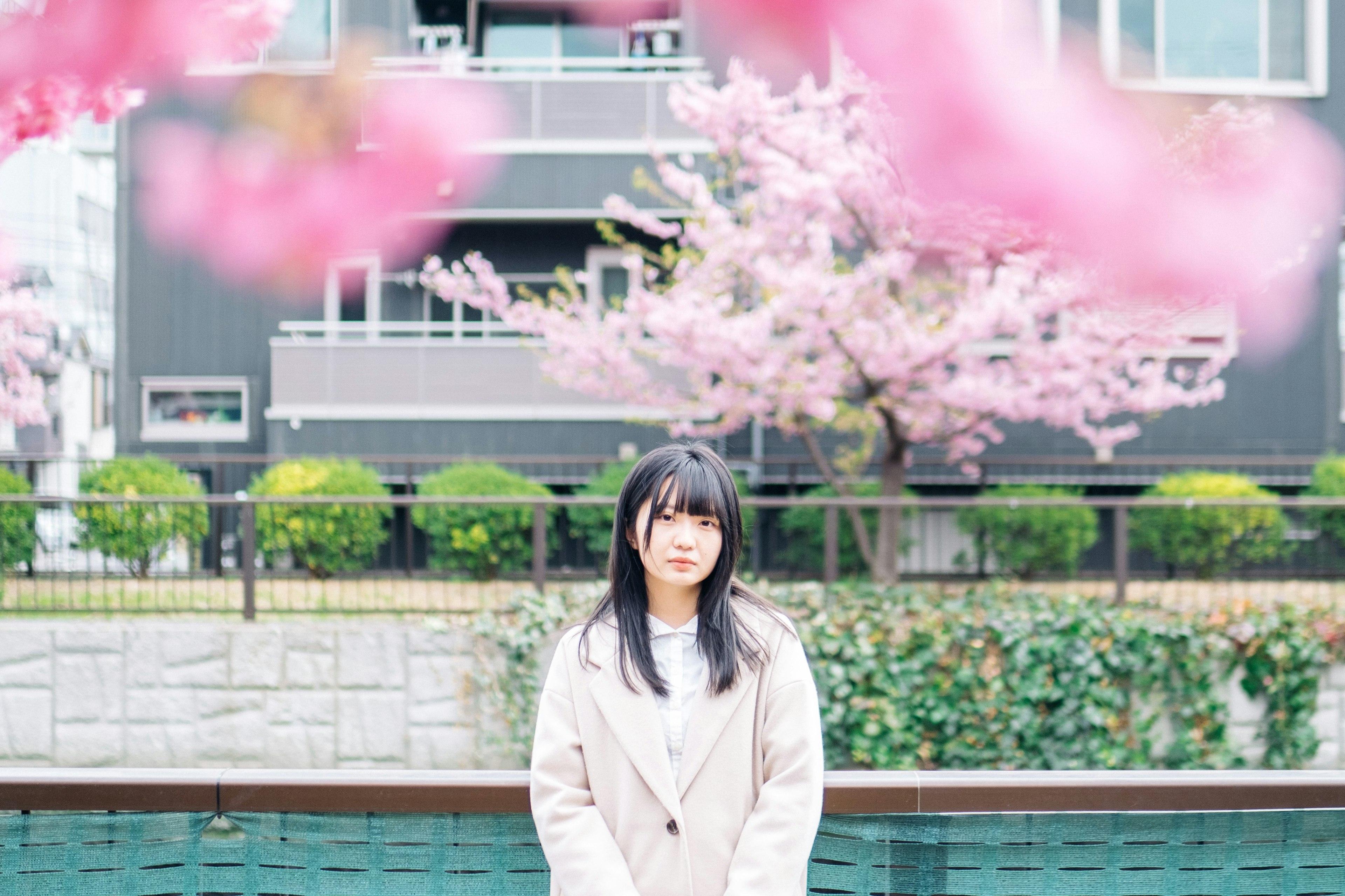 Portrait d'une femme se tenant au milieu des cerisiers en fleurs