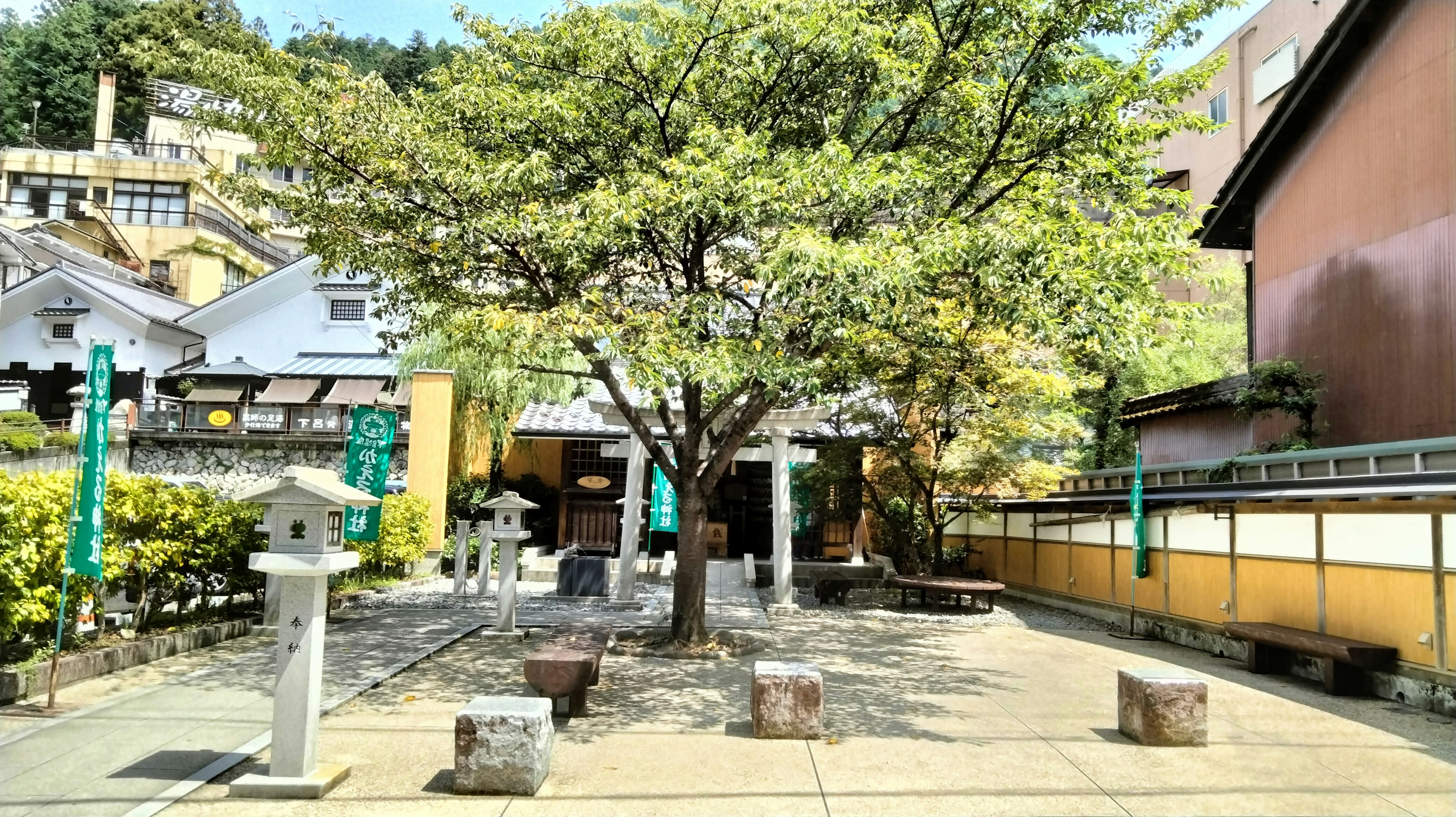 Spacious garden featuring a large tree and stone benches