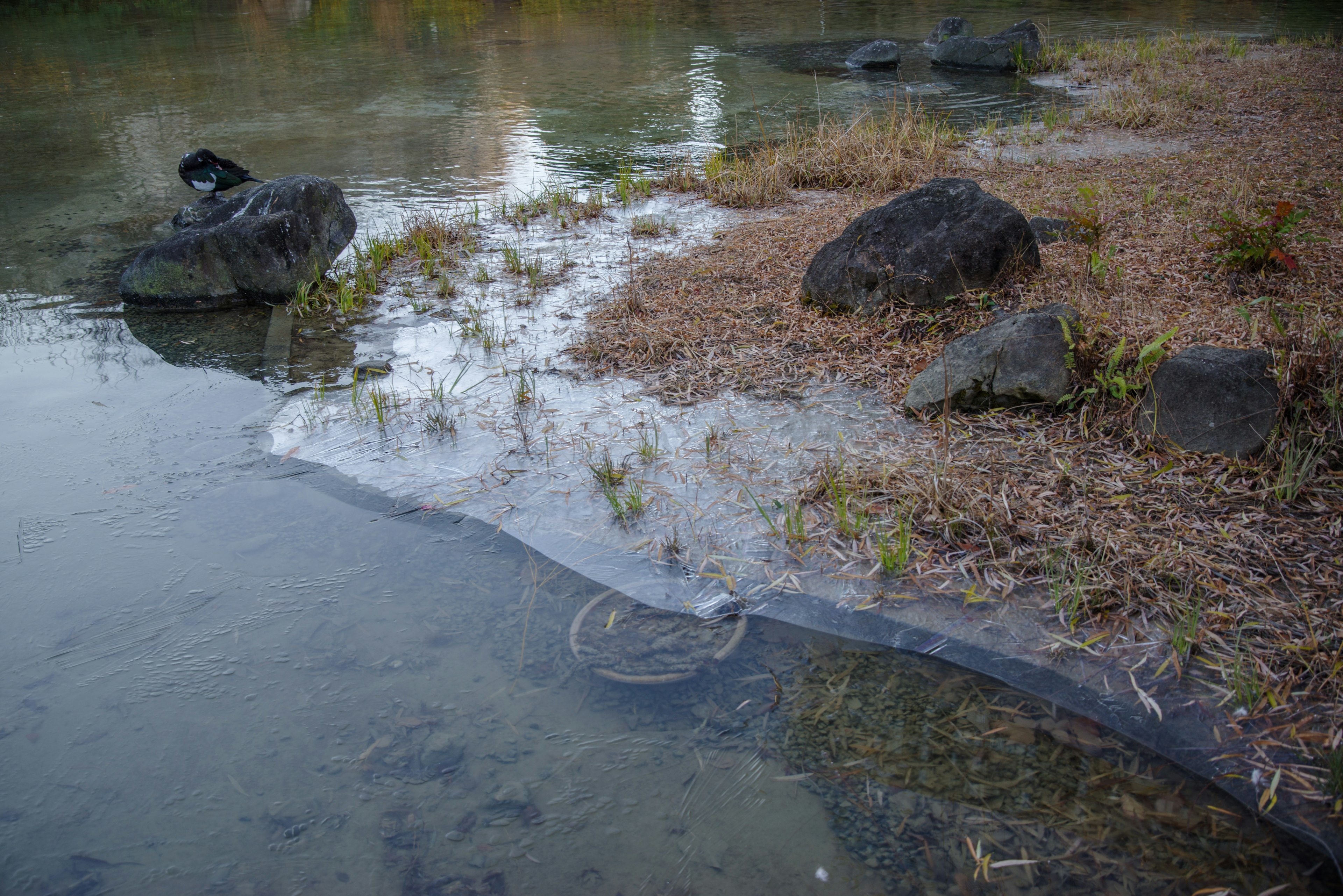 Pemandangan dengan batu dan tepi berumput di tepi air