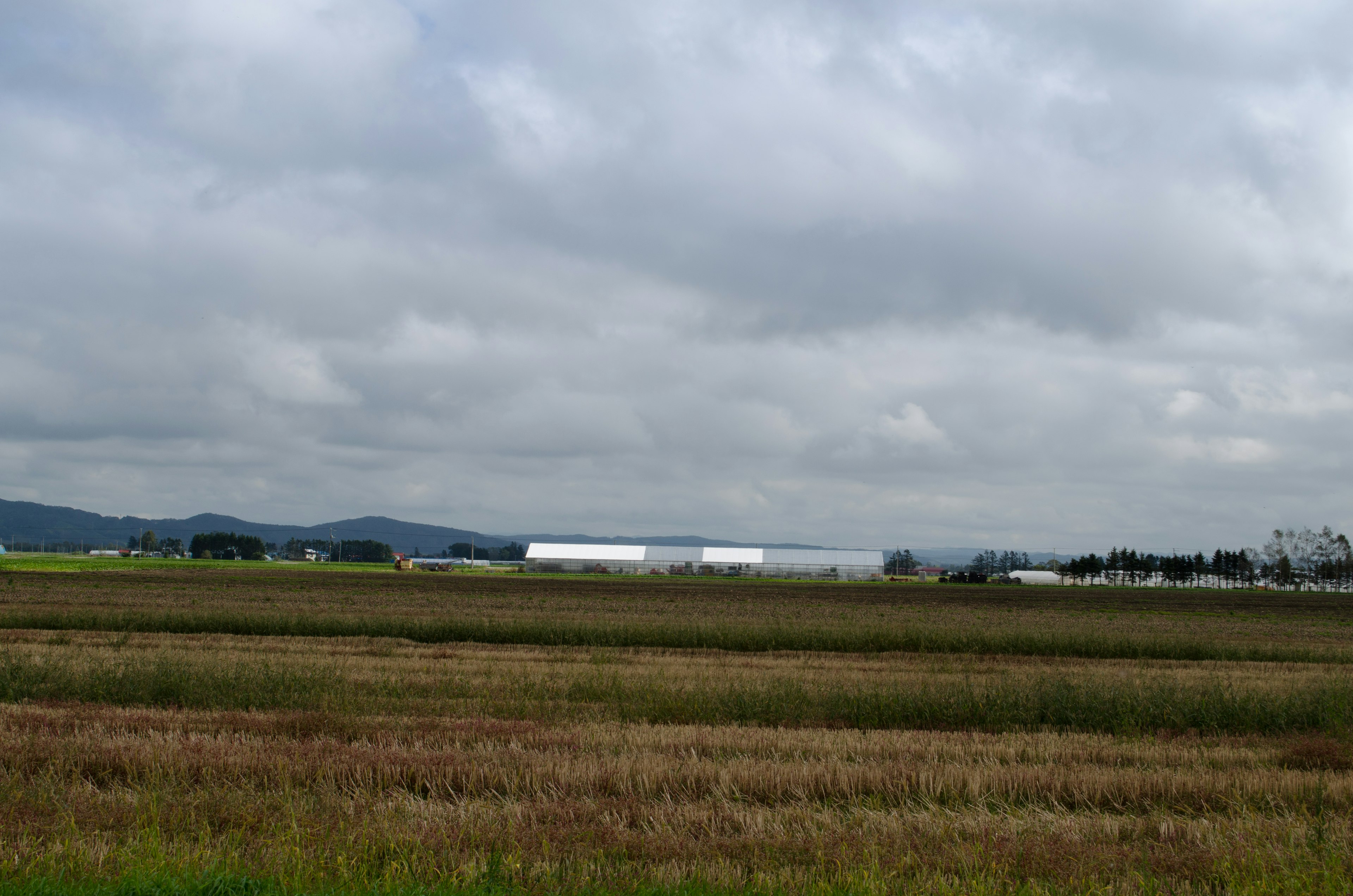 Paysage rural vaste avec des bâtiments d'usine sous un ciel nuageux