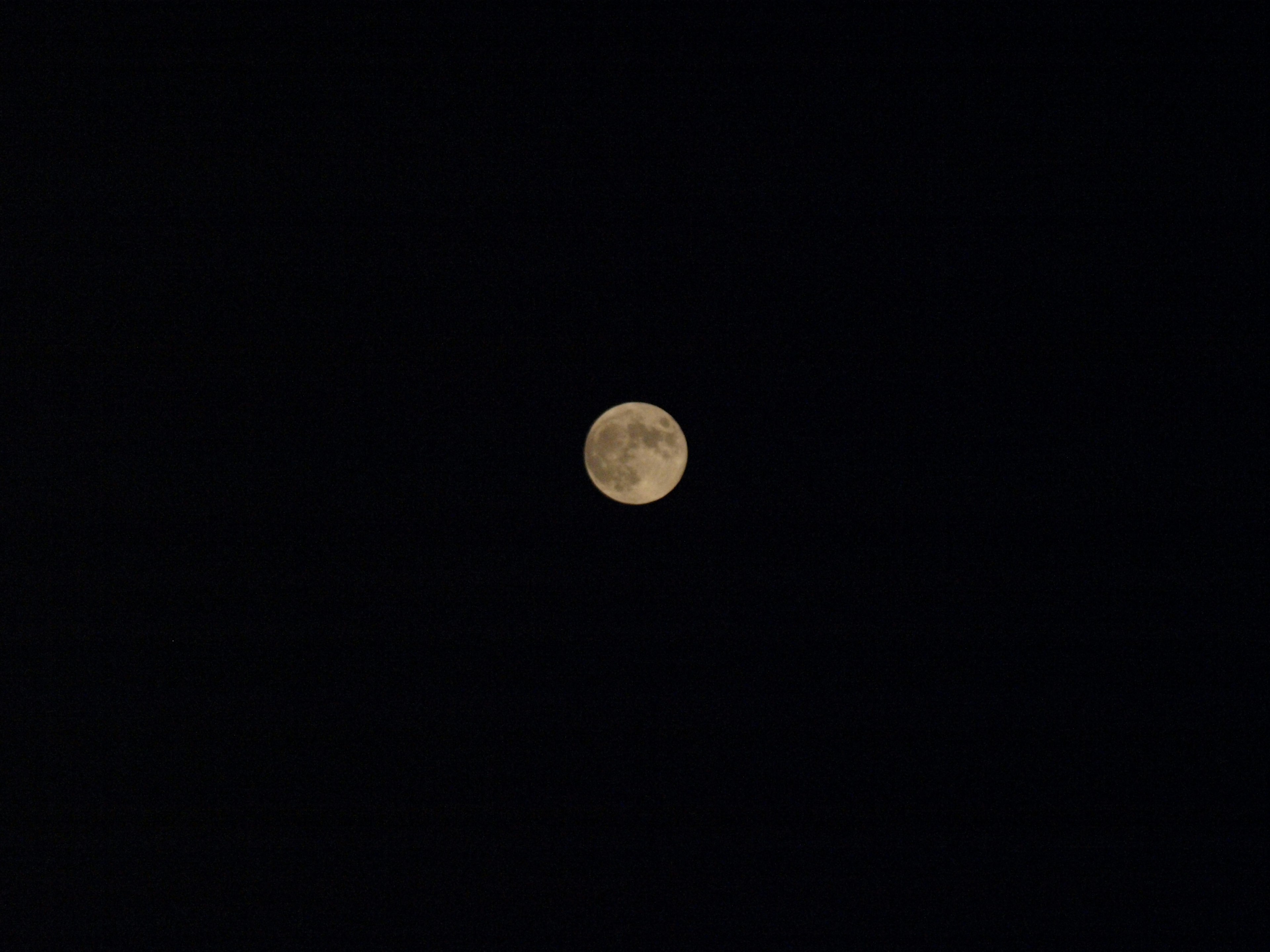 Bright moon in the night sky