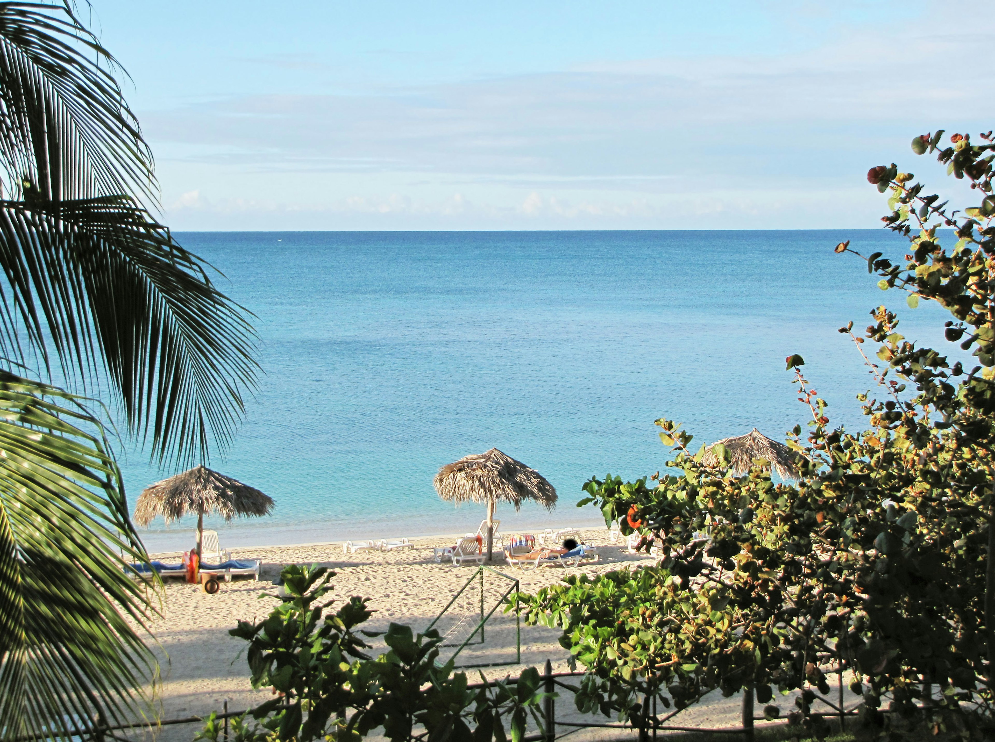 Vista de playa escénica con océano azul y arena blanca rodeada de palmeras y sombrillas de paja