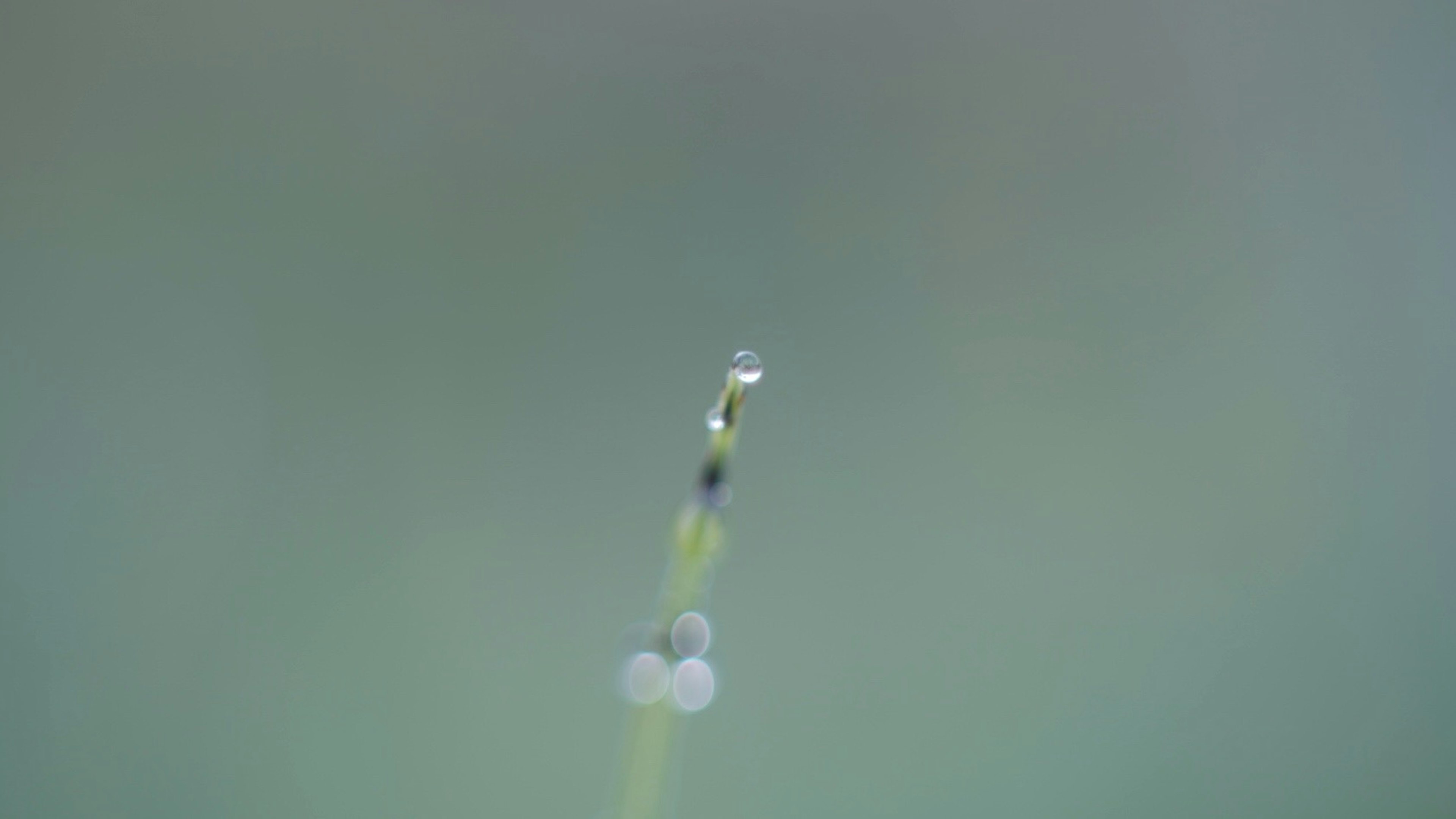 photo-mZpjJ9IISCjyrhID2XSB-image