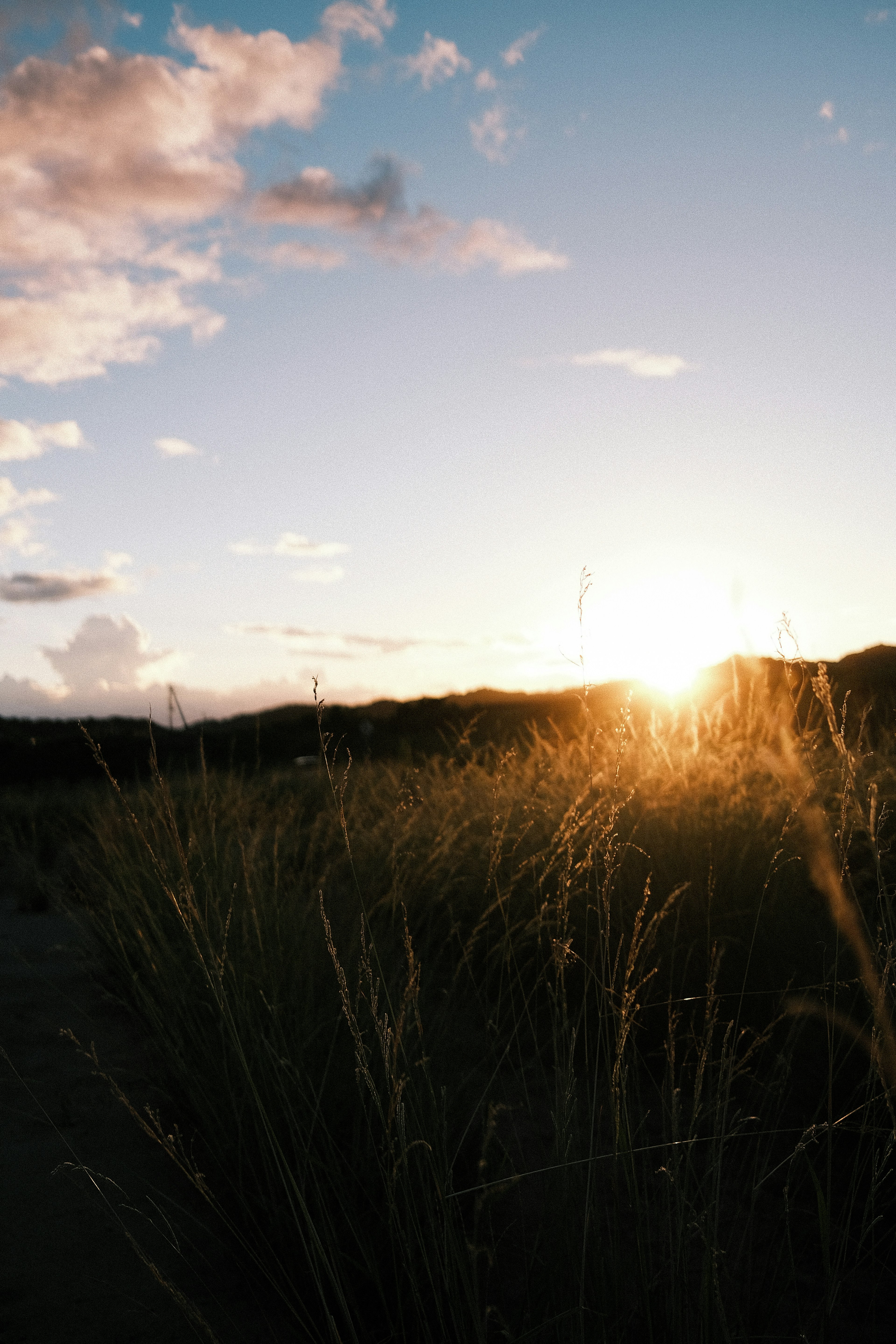 Sunset over a grassy field with clouds