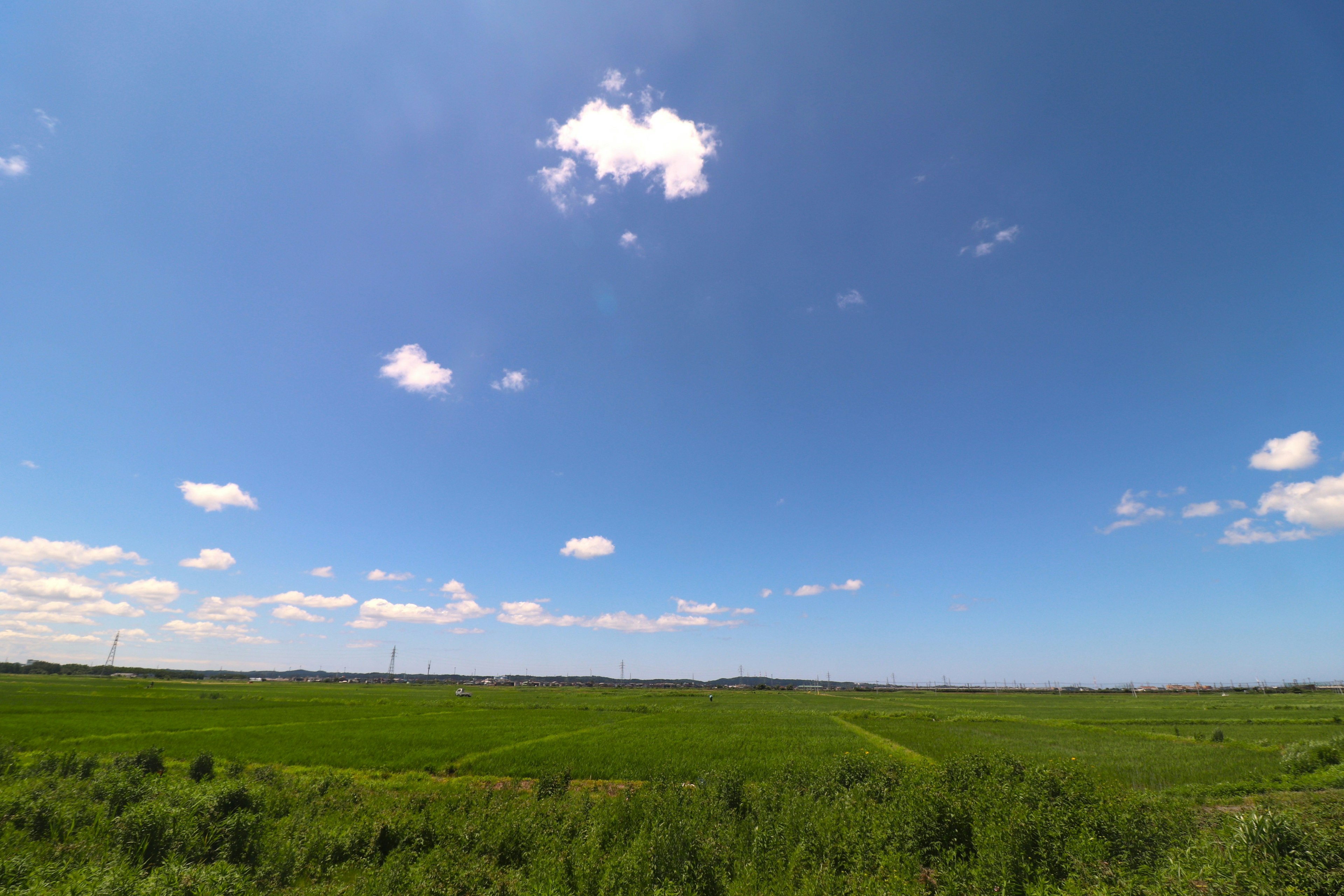 Paysage verdoyant sous un ciel bleu avec des nuages blancs