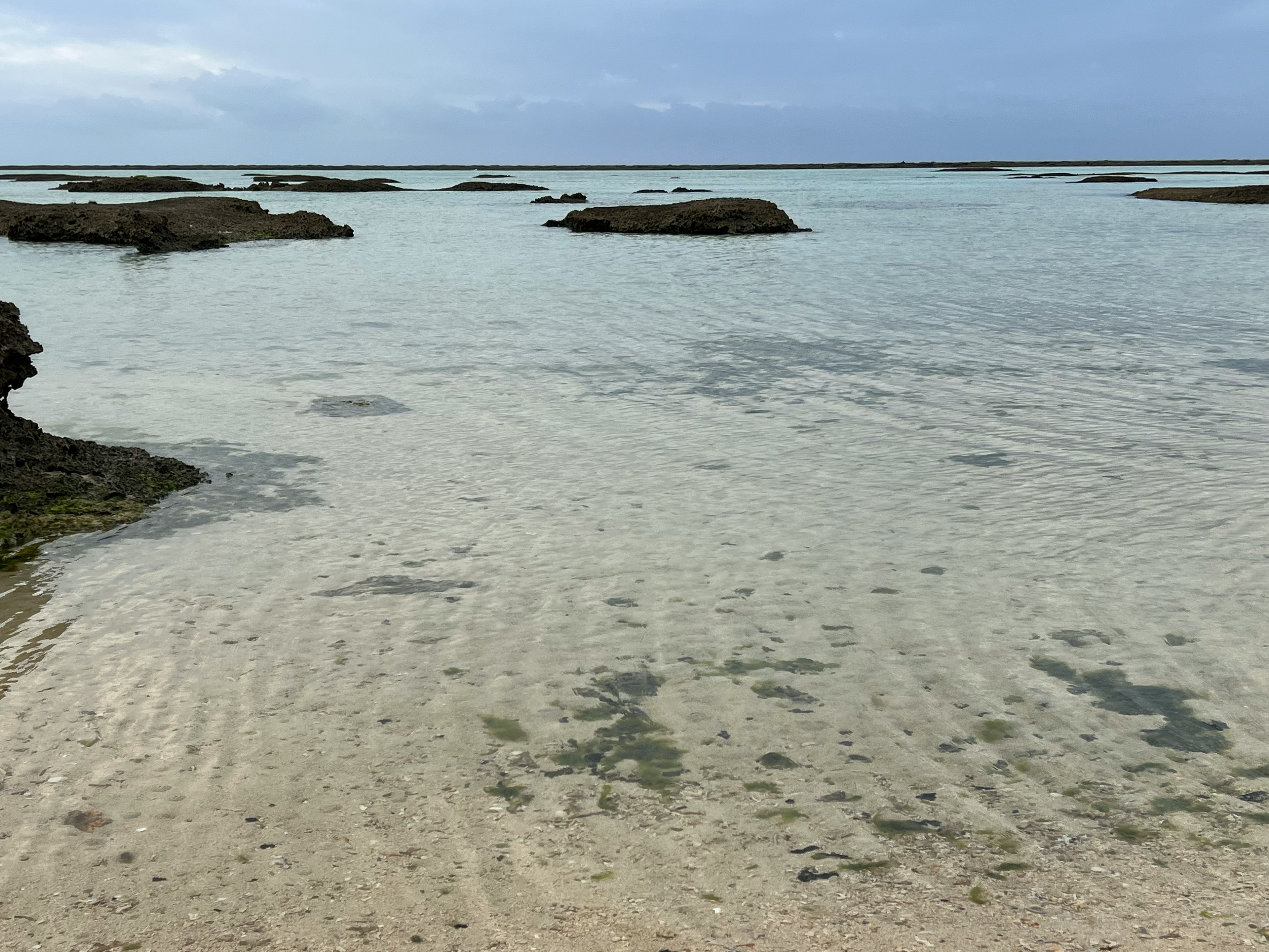 Paisaje marítimo tranquilo con aguas poco profundas y afloramientos rocosos