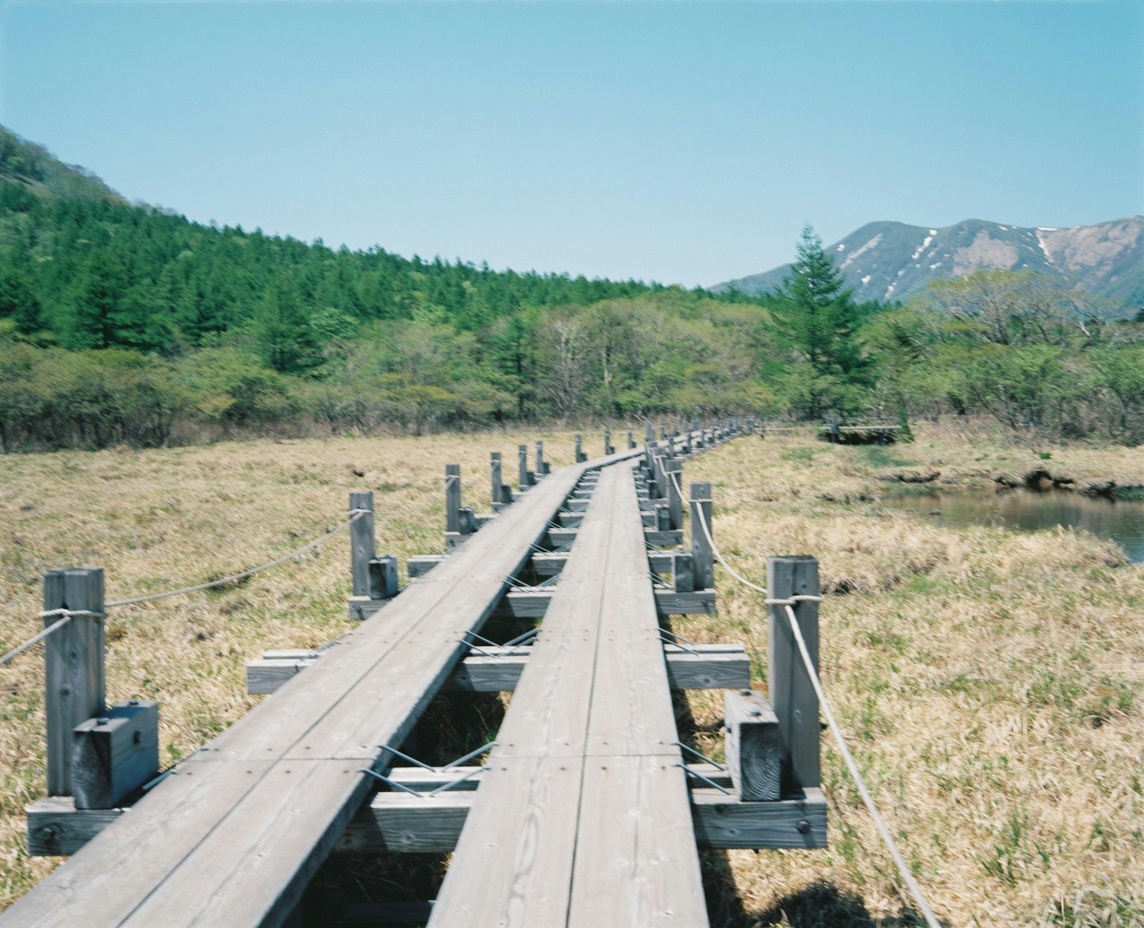 Wooden pathway extending through a natural landscape