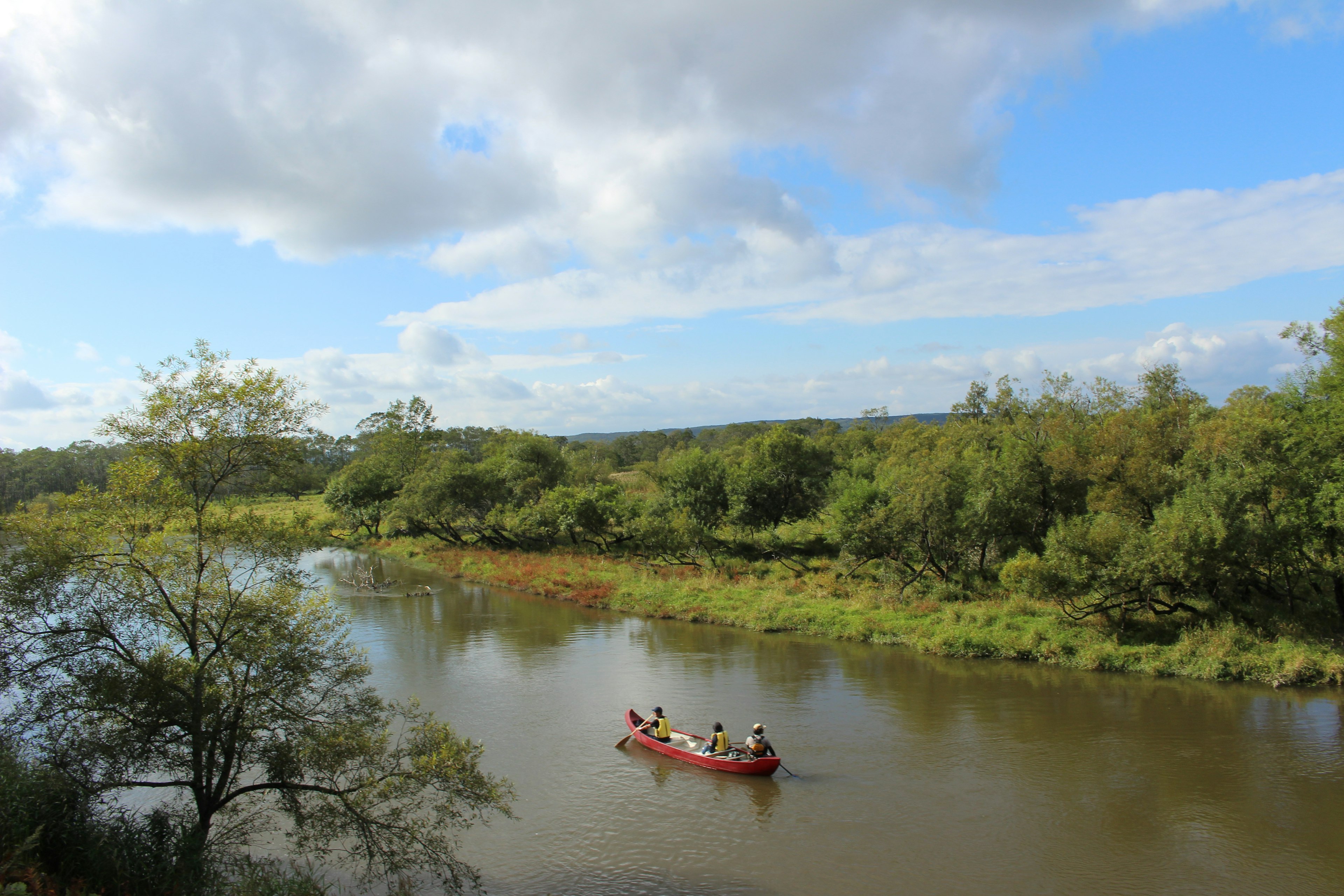 Scenic view of people canoeing on a lush green river