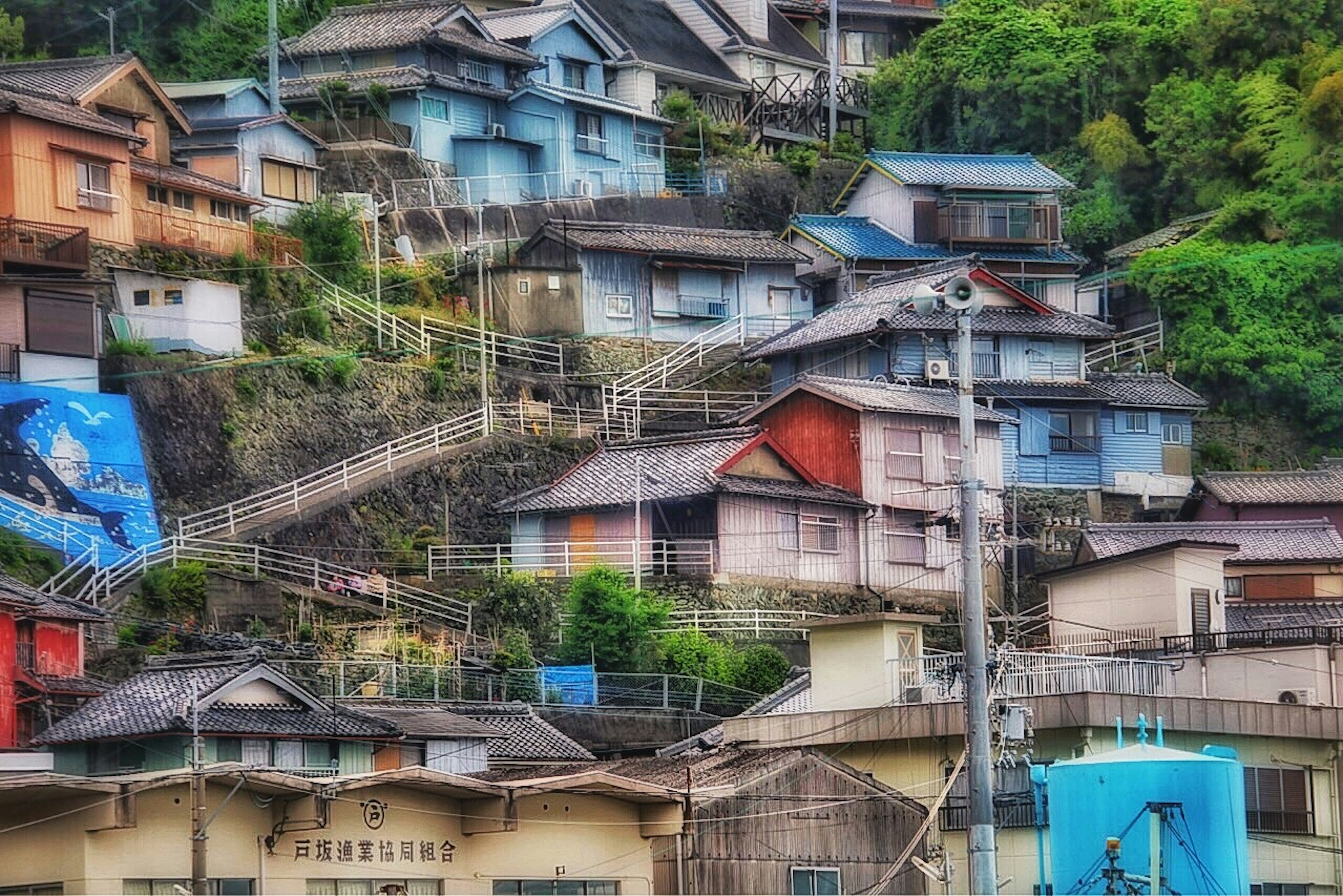 Casas coloridas construidas a lo largo de una colina con vegetación