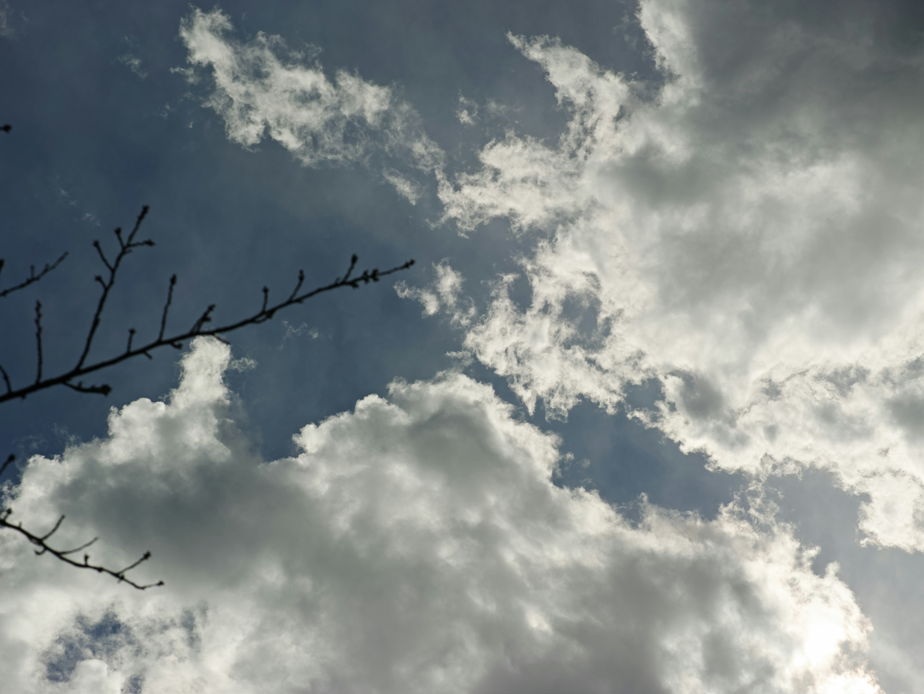 Nubes dispersas contra un cielo azul con la silueta de ramas de árbol