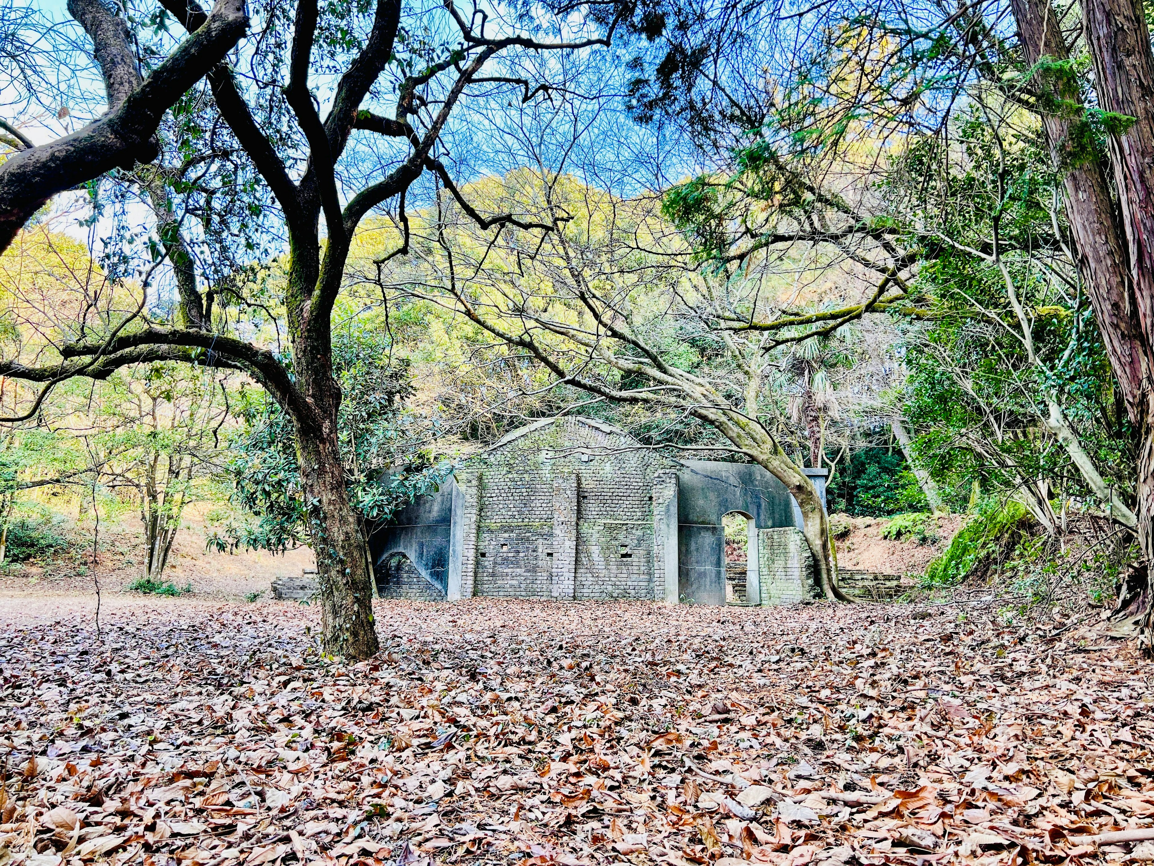 Struttura in cemento circondata da una foresta autunnale e foglie cadute