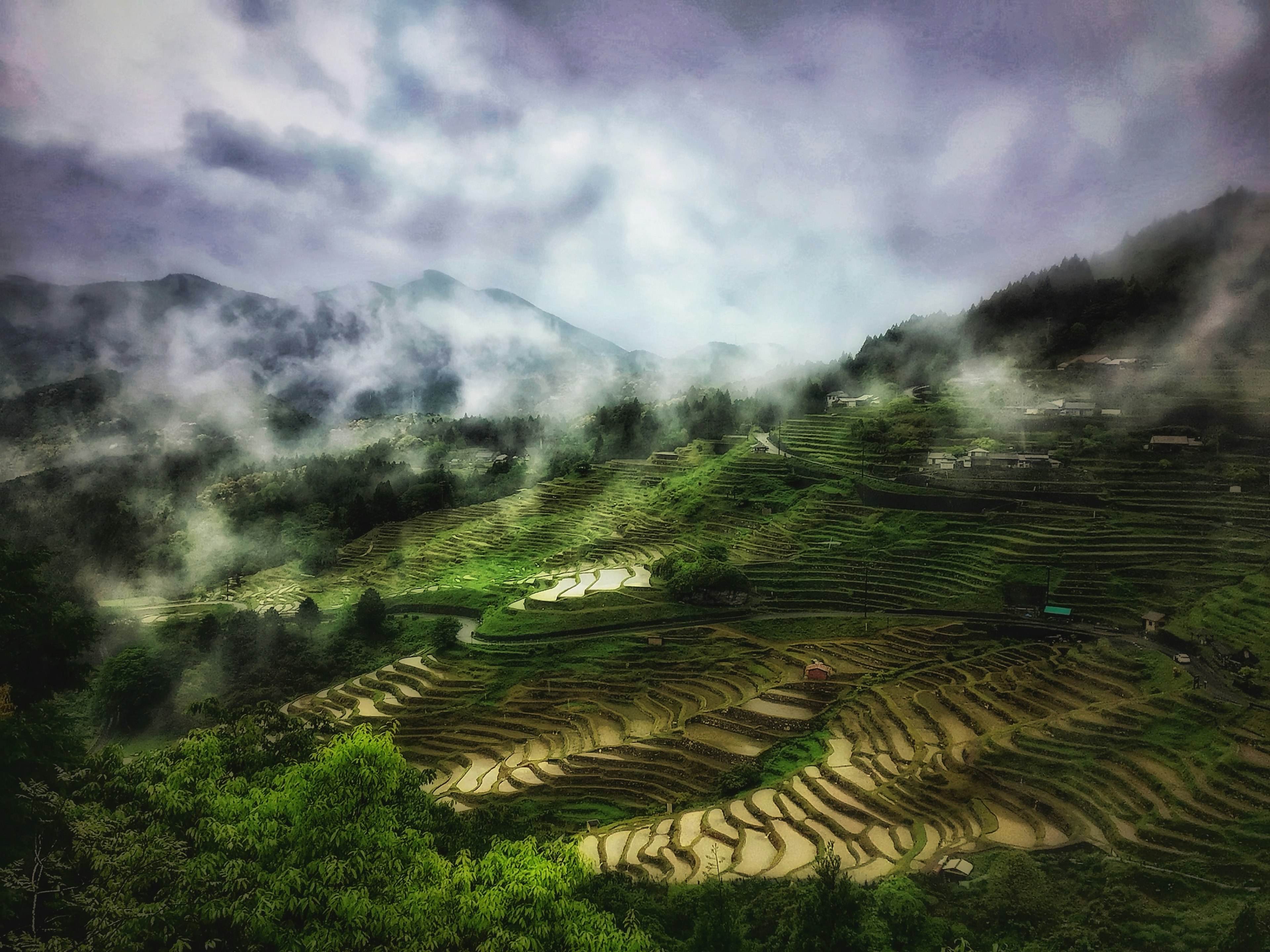 Terrazas de arroz y montañas cubiertas de niebla