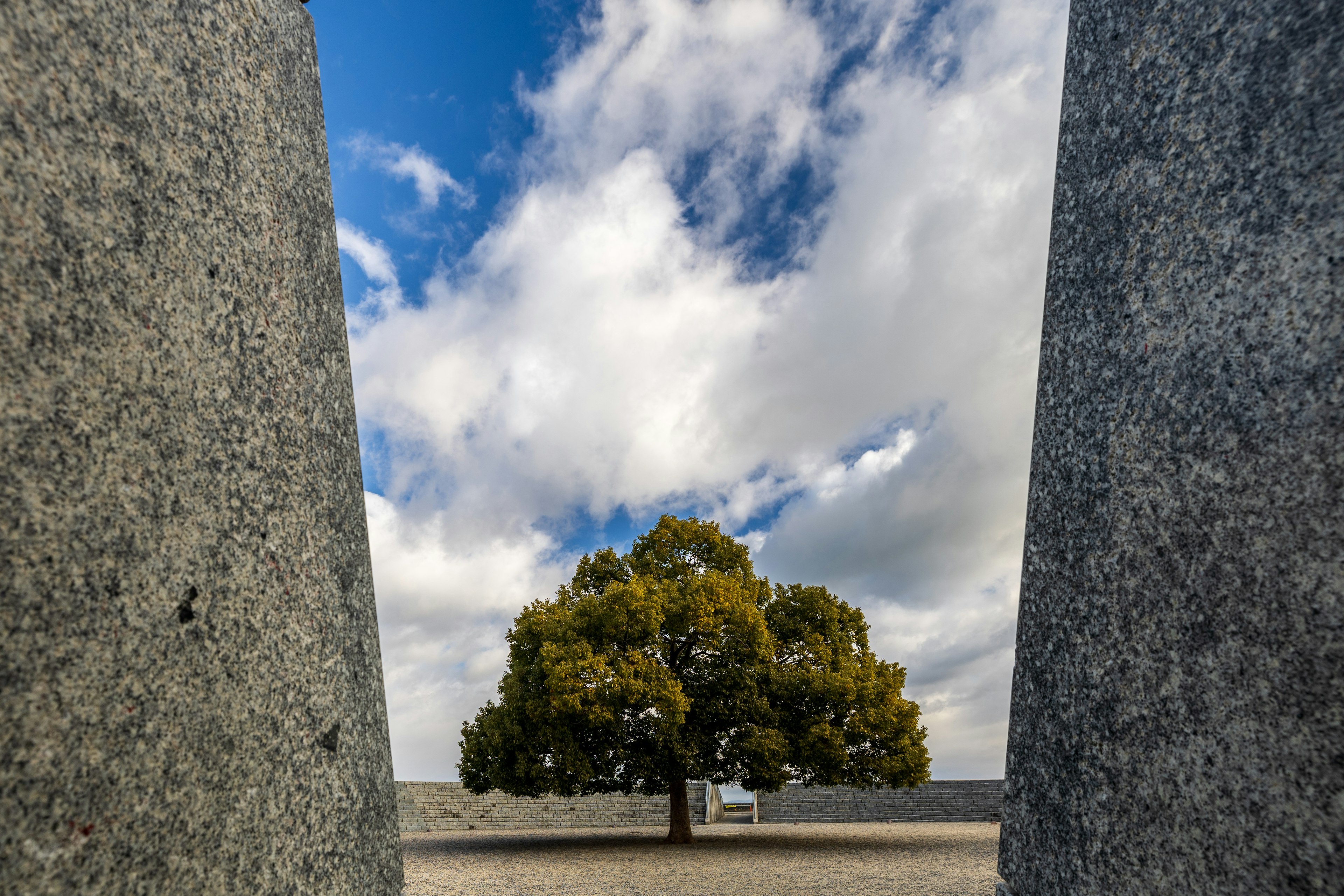 Blick auf einen grünen Baum, eingerahmt von Steinsäulen und blauem Himmel